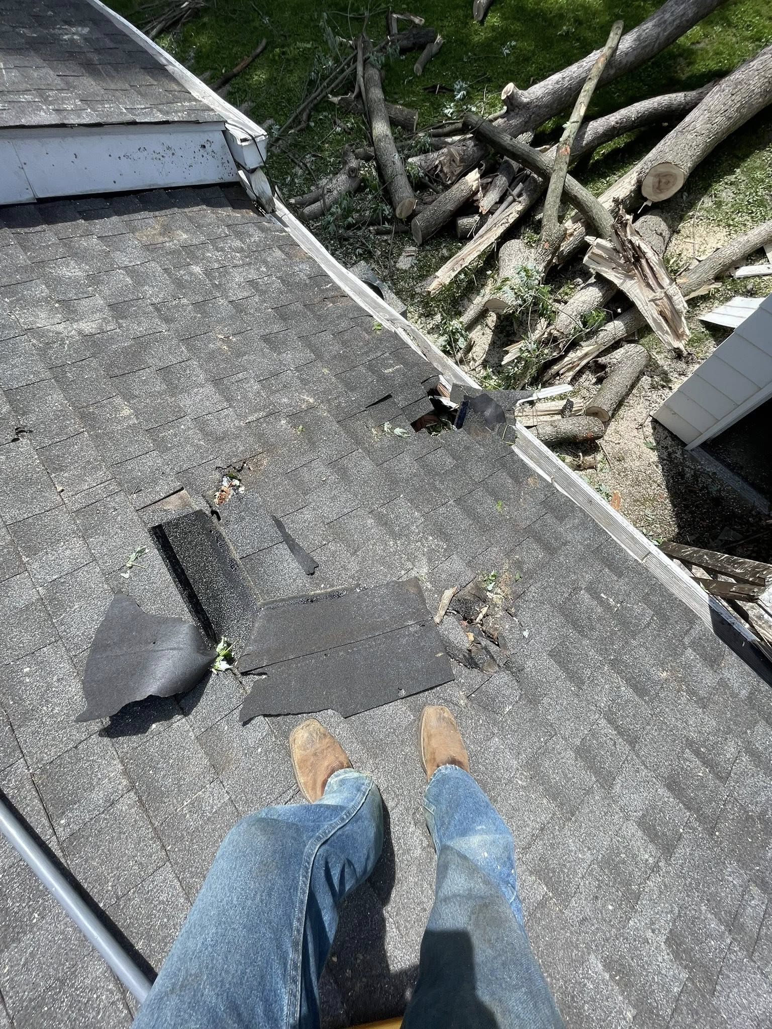  for Hendricks Tree Service in Belleville, IL