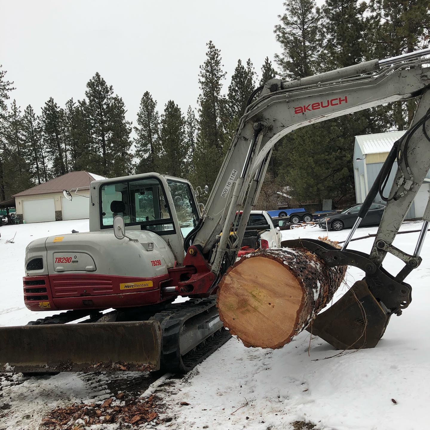  for AP Tree Service in Colbert, WA