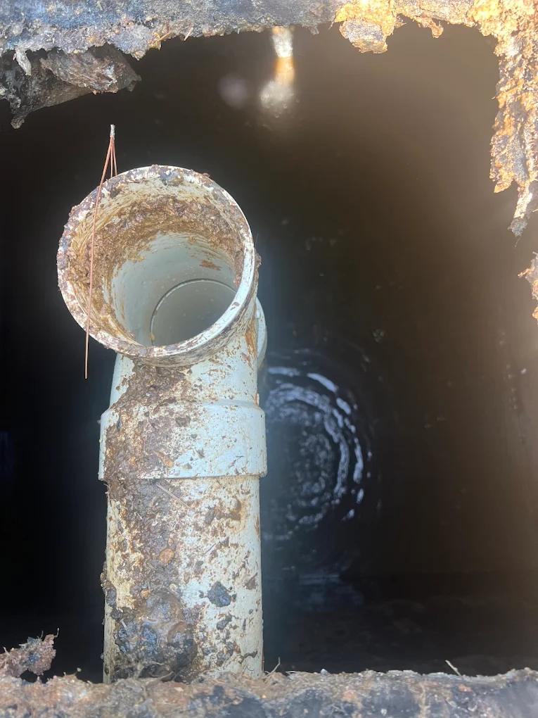  for Masse Septic & Plumbing in Newington, GA