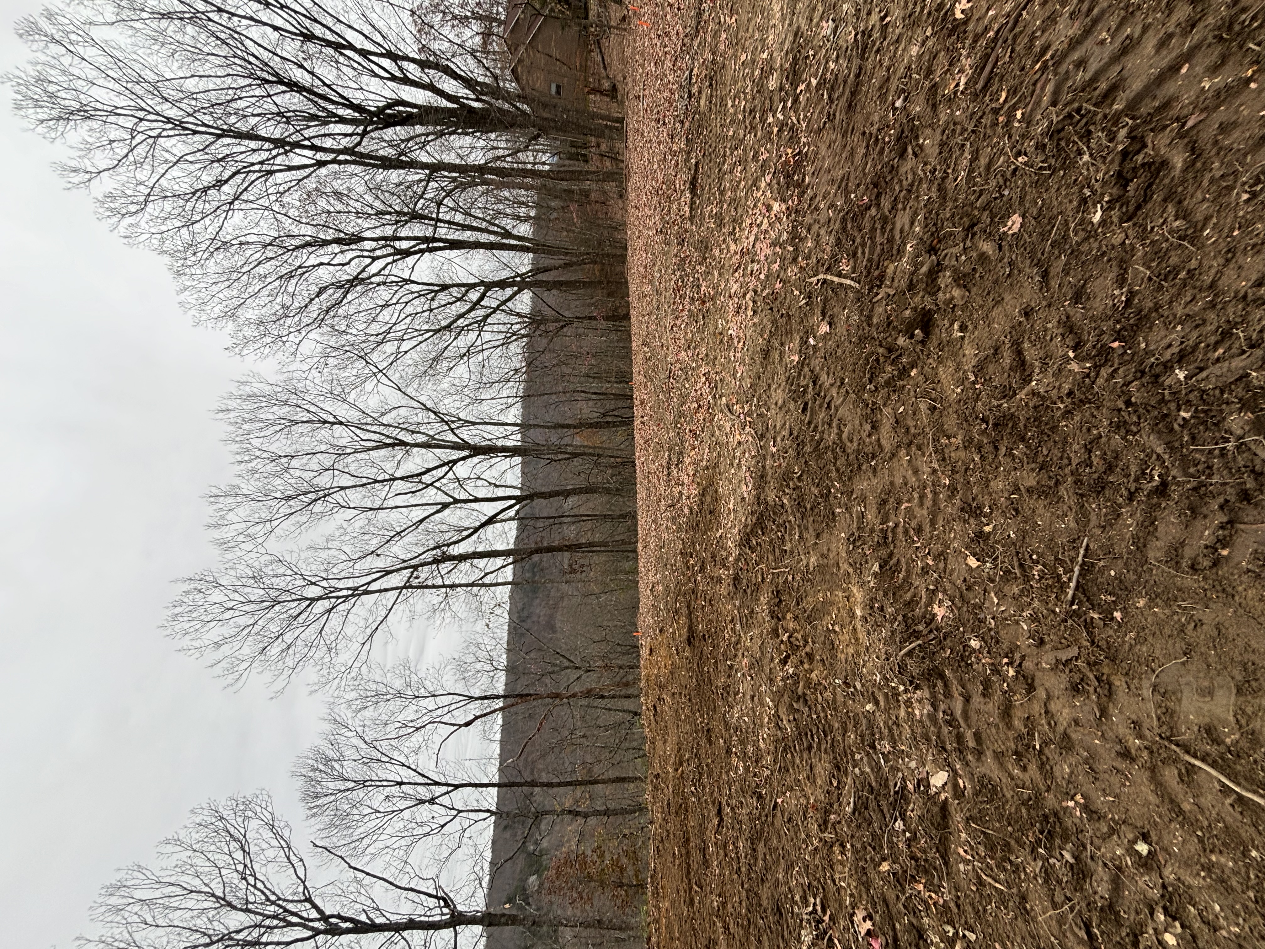  for TD Dirtworks in Tracy City, TN