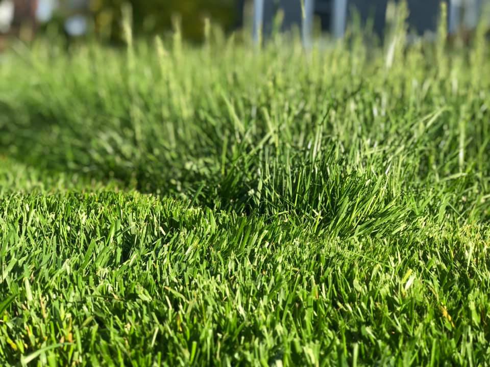  for LGZ Landscaping LLC in Belleville, NJ