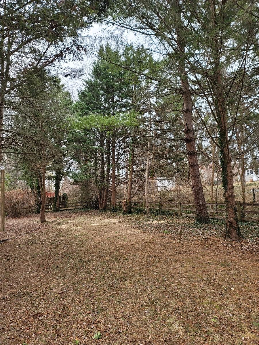  for Integrity Tree and Landscaping in Lynchburg, VA