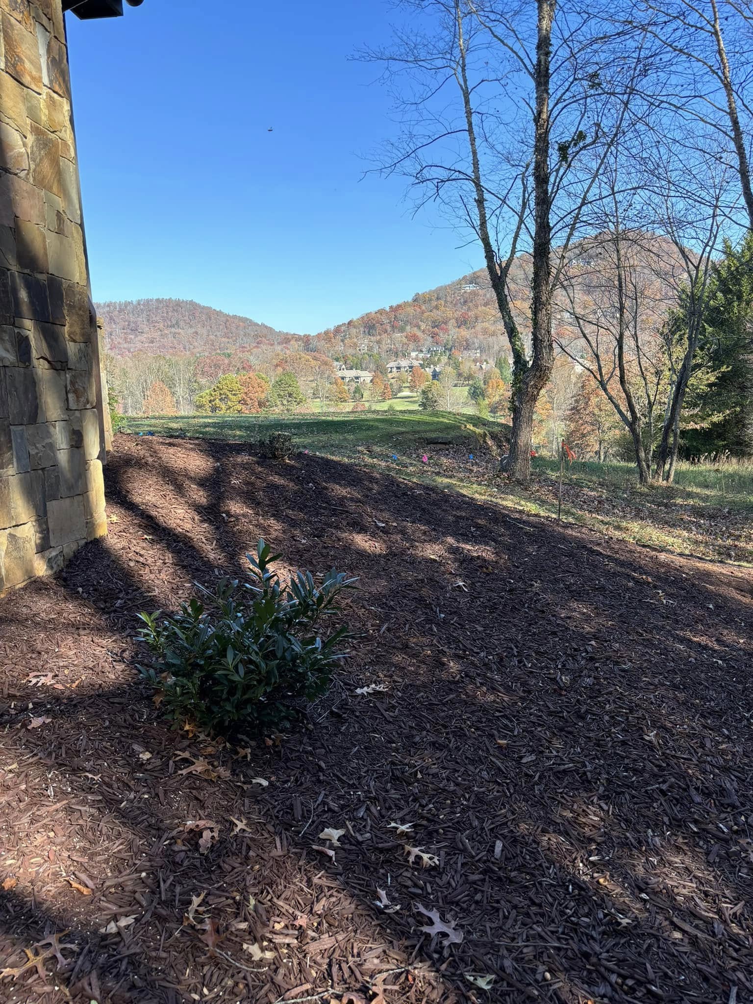  for Andy's Tree Service in Zirconia, NC