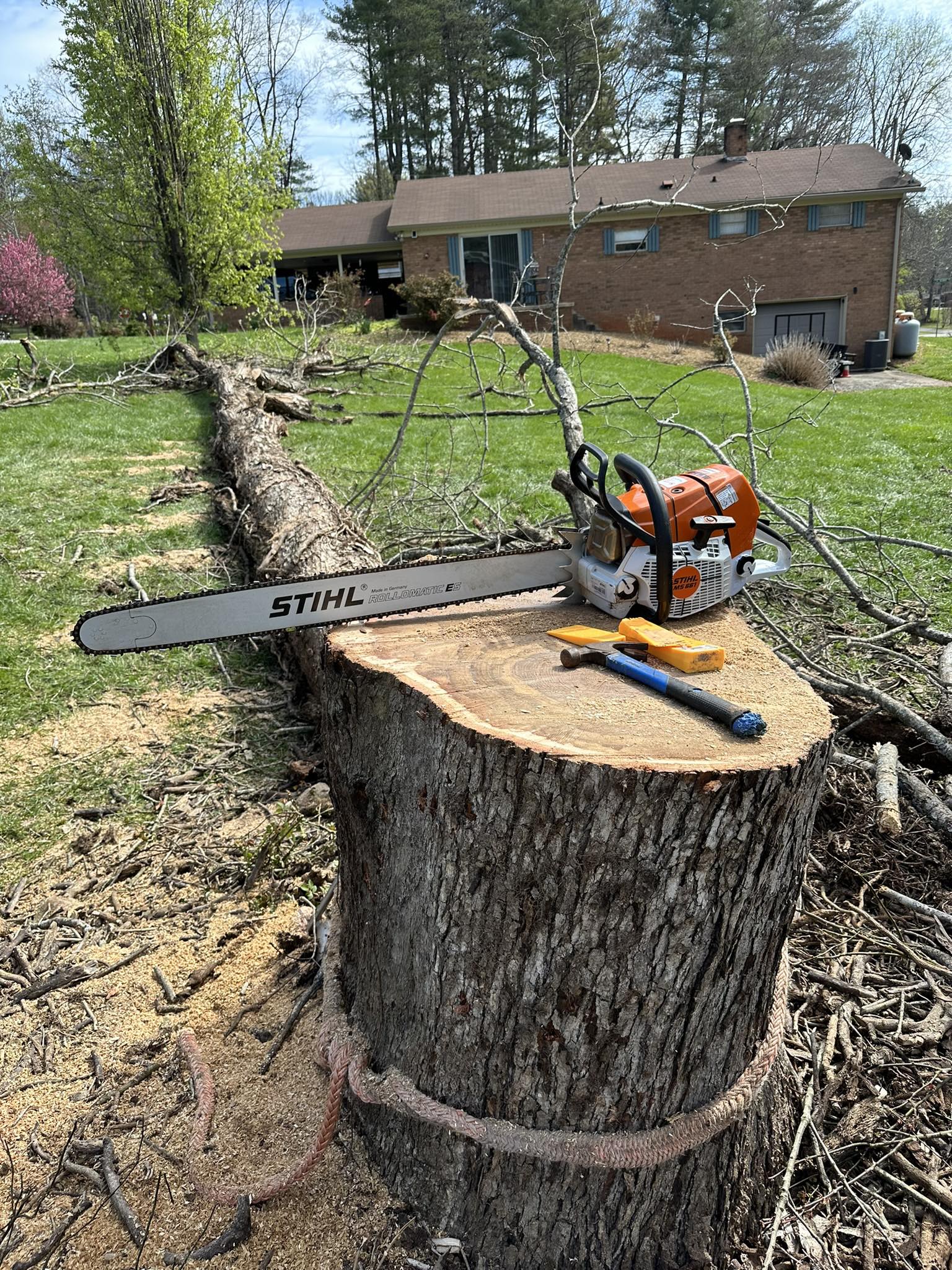  for Ramirez Tree Care in Elkin, NC