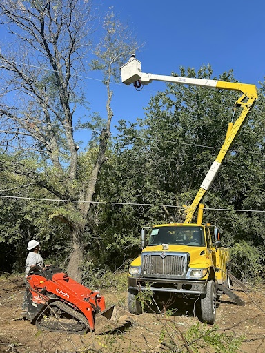 Integrity Lawn, Landscape & Tree arborist in a bucket truck trimming a large oak in Pleasant Hill, MO