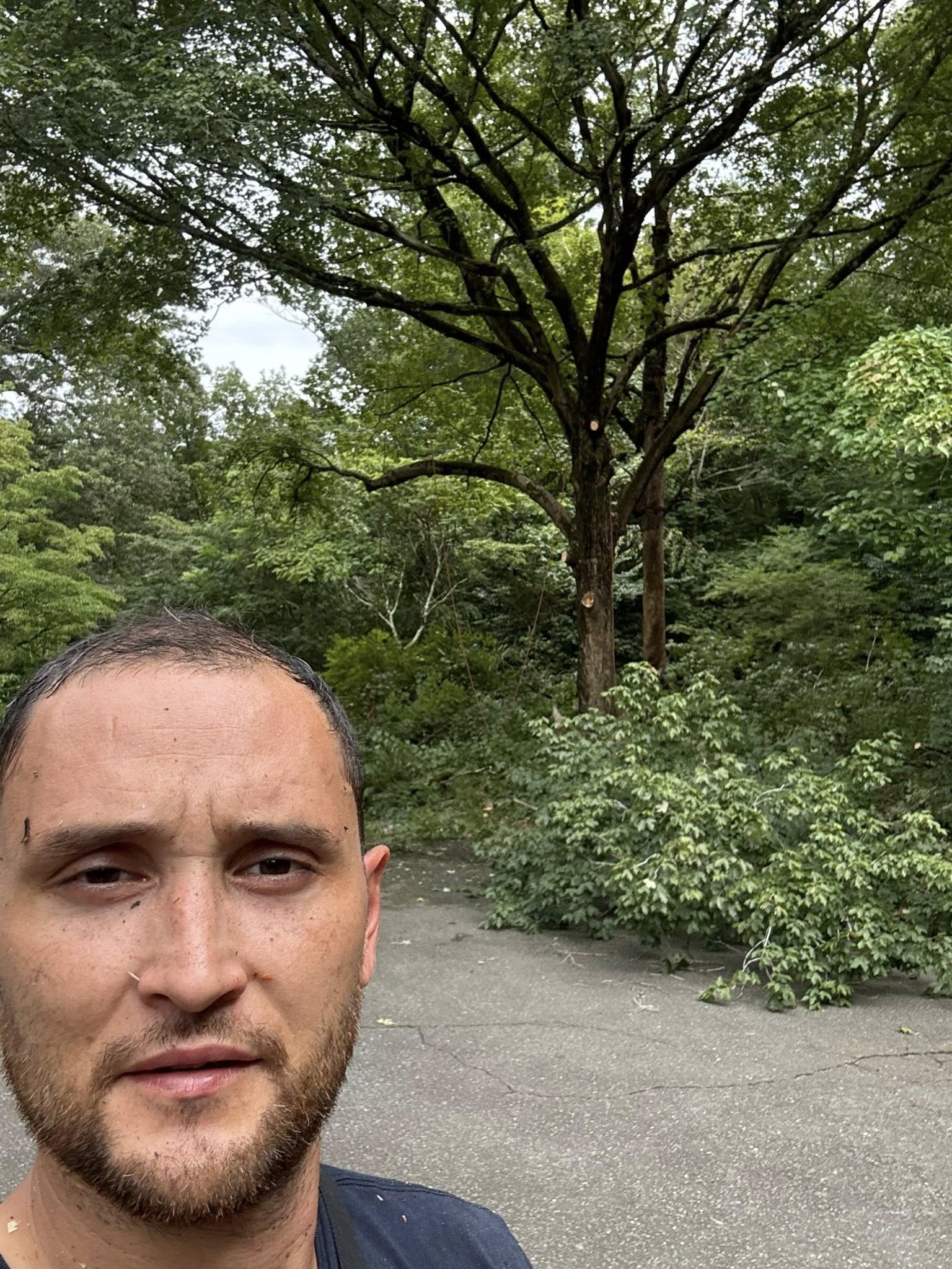  for Total Tree Care in Erwin, North Carolina