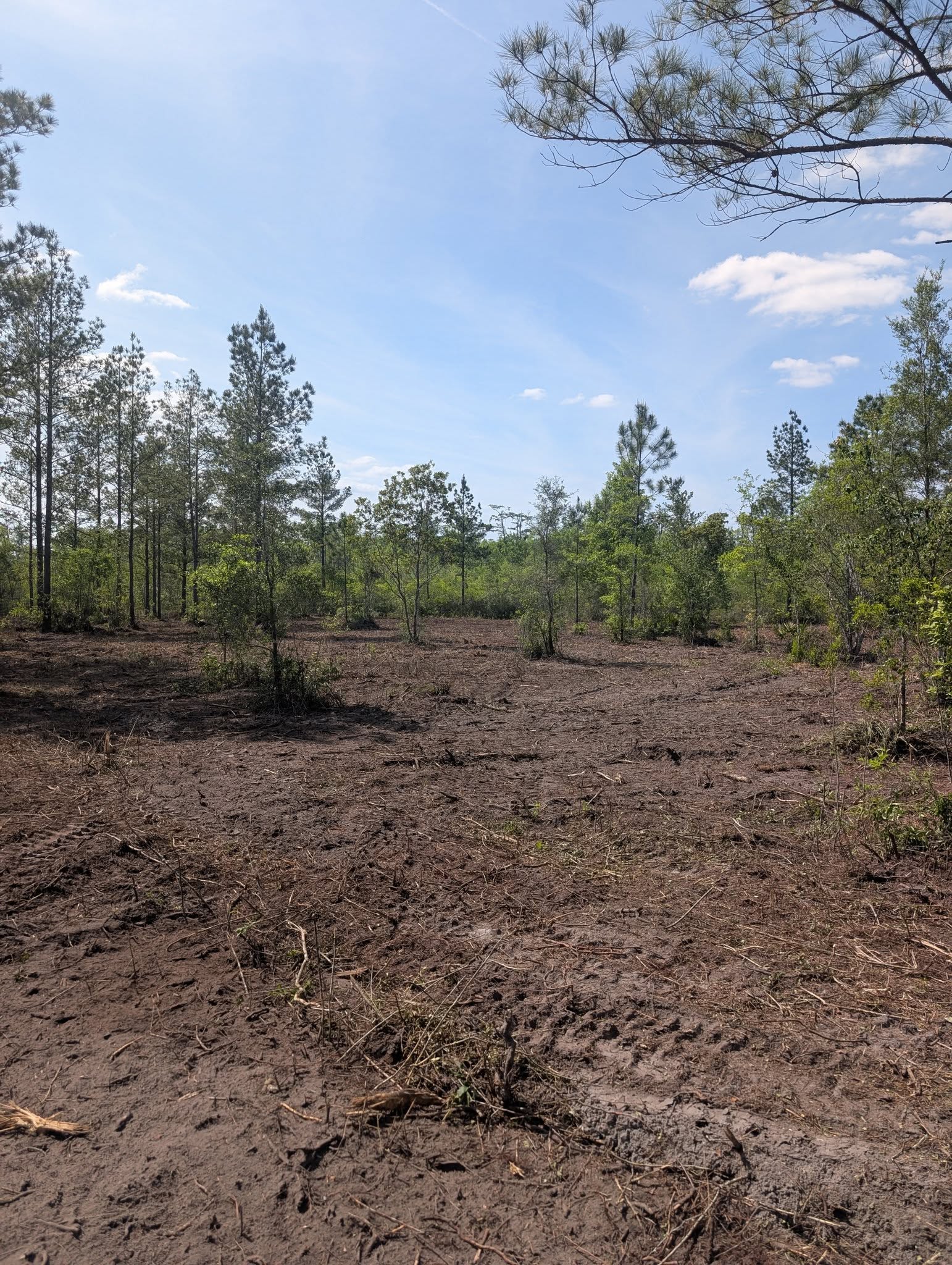  for TDWS Land Management in Blackshear, GA