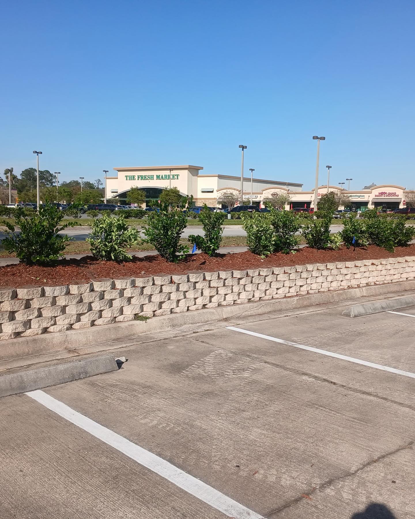  for Whole 9 Yards Services in Green Cove Springs, FL