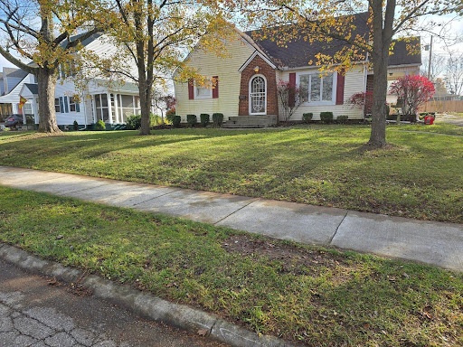  for Tingley's Green Land Services in Springfield, Ohio