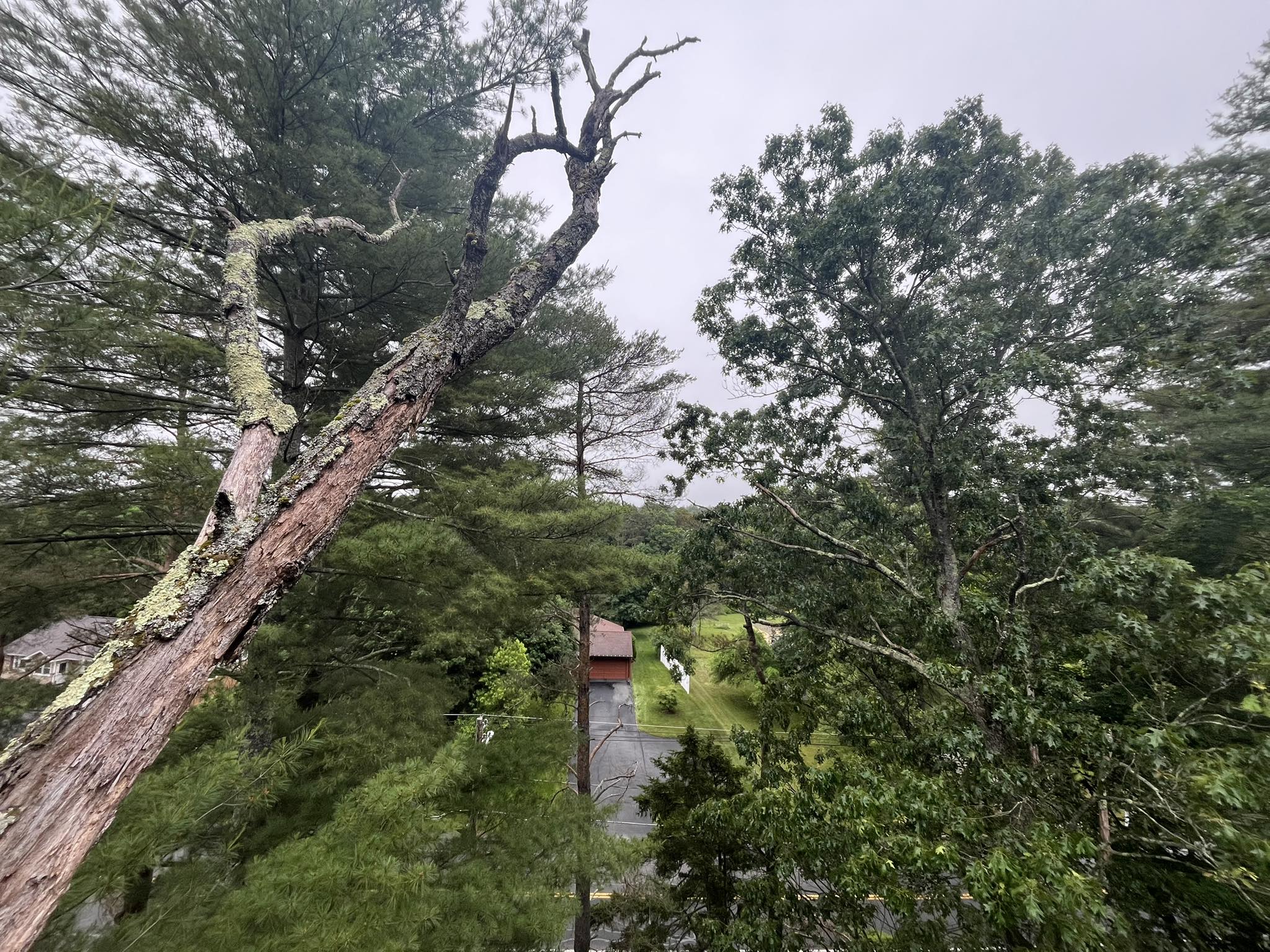 cover-photo