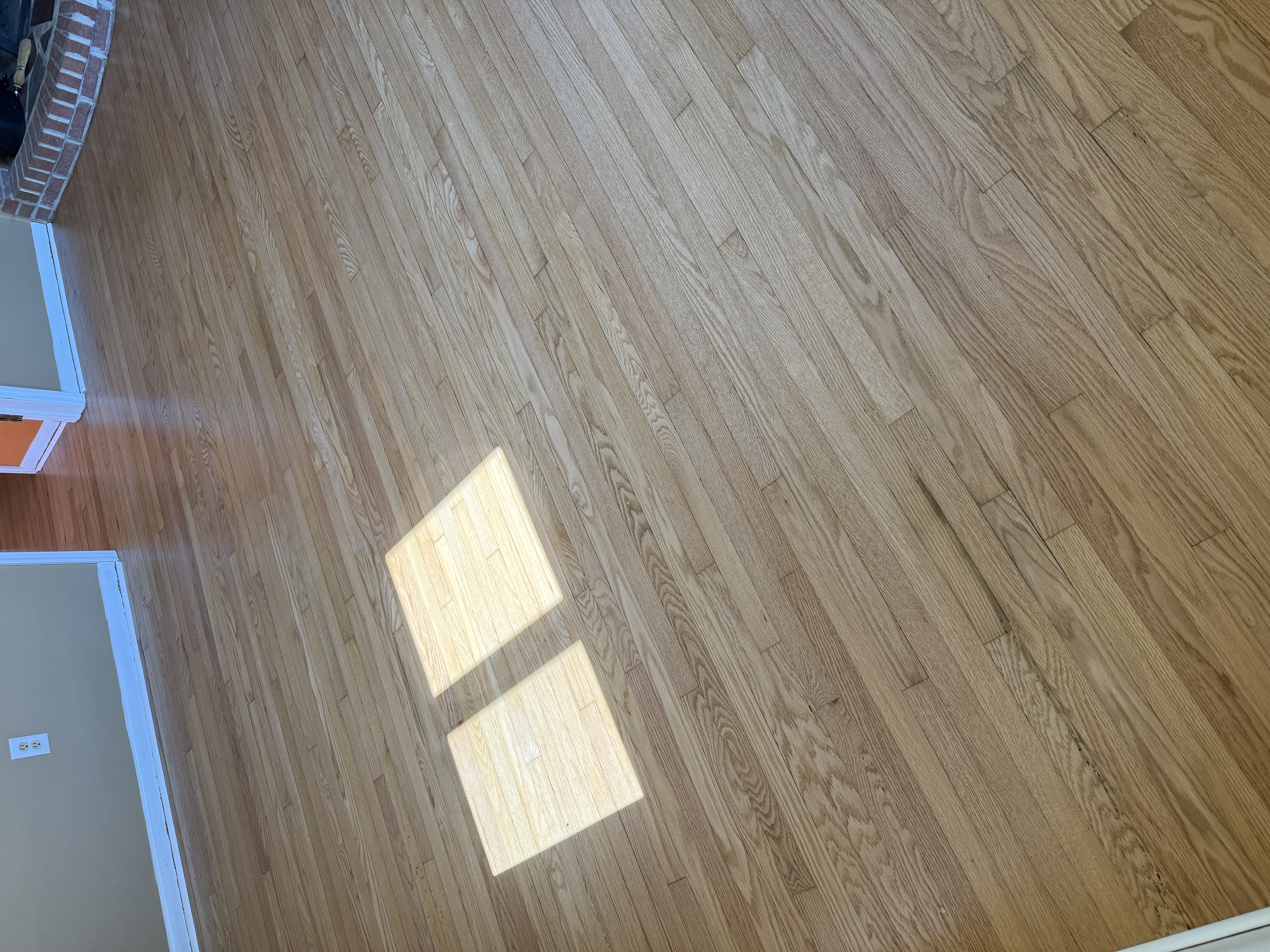 for Finely Finished LLC in Wyoming, DE