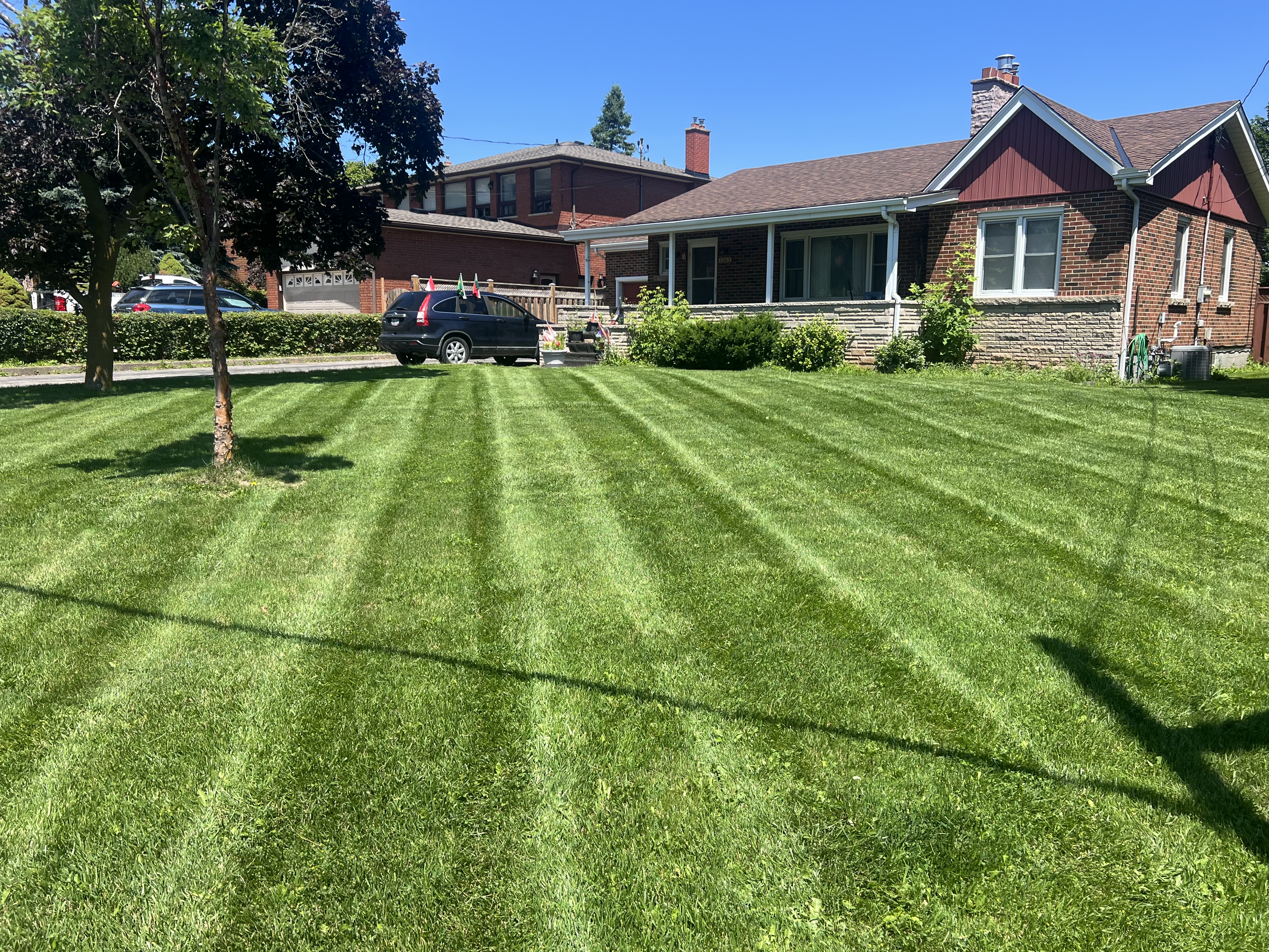  for CMN Exterior Maintenance in Hamilton, ON