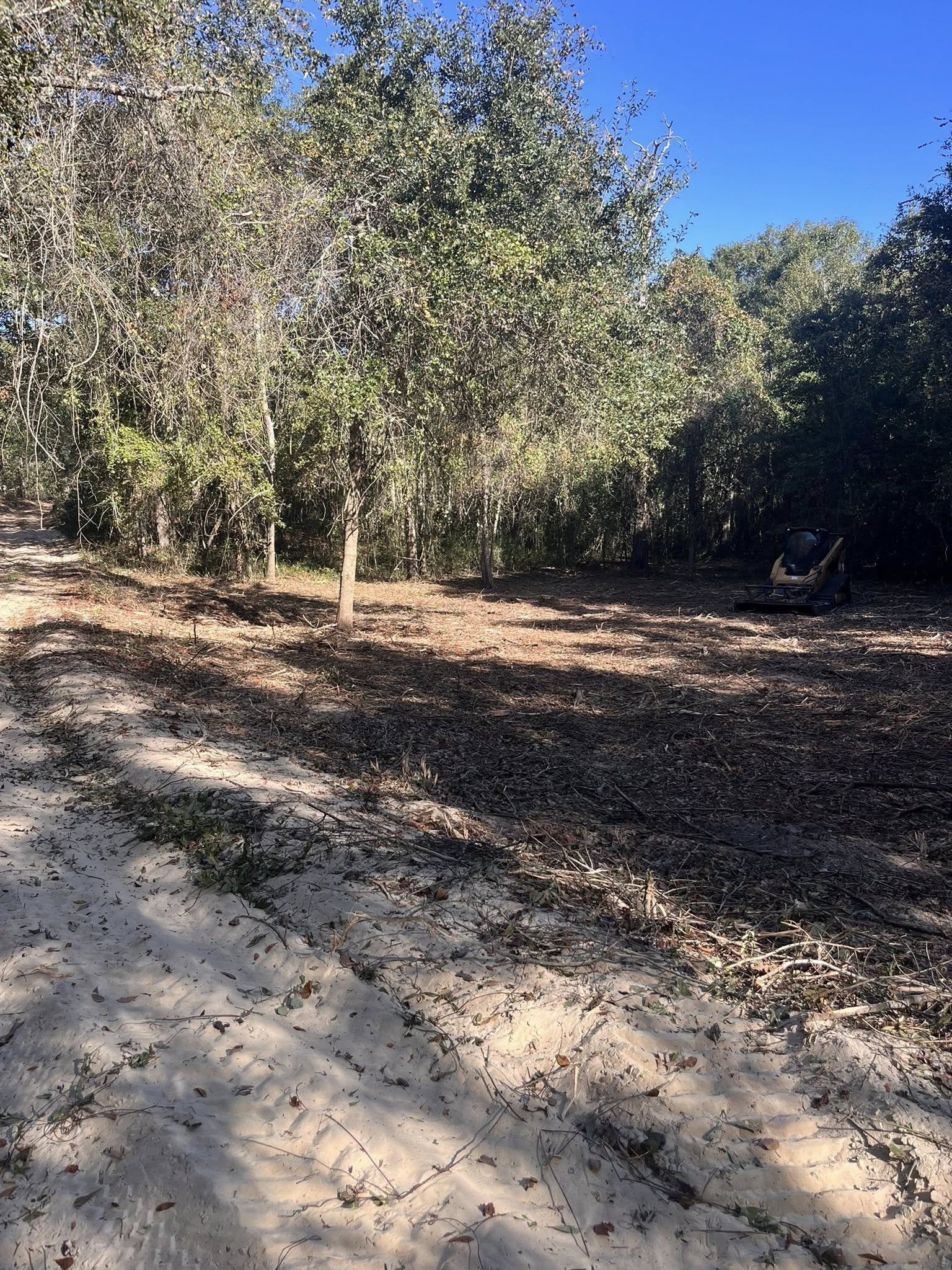  for Pinewood Land Management LLC in Nashville, GA