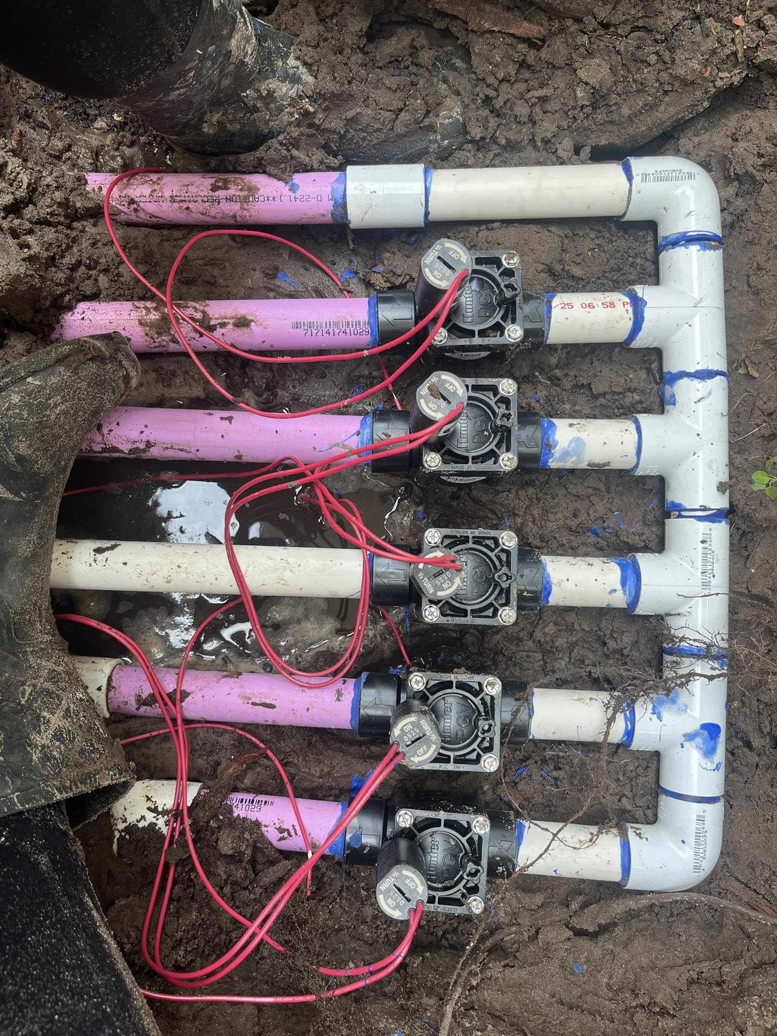  for The Sprinkler Lady LLC in Port Orange, FL