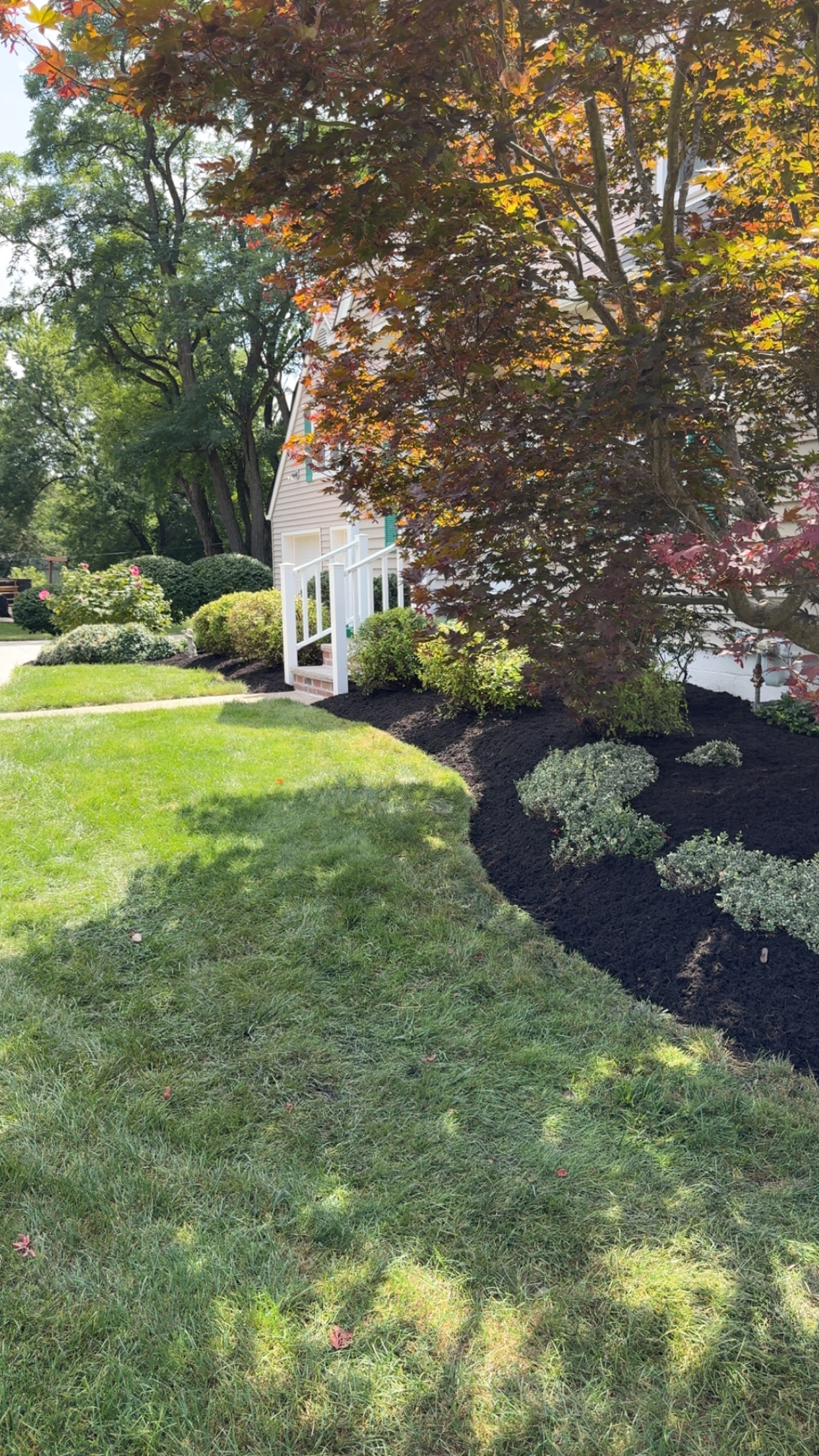  for Vasel's Landscaping Services in Medina, OH