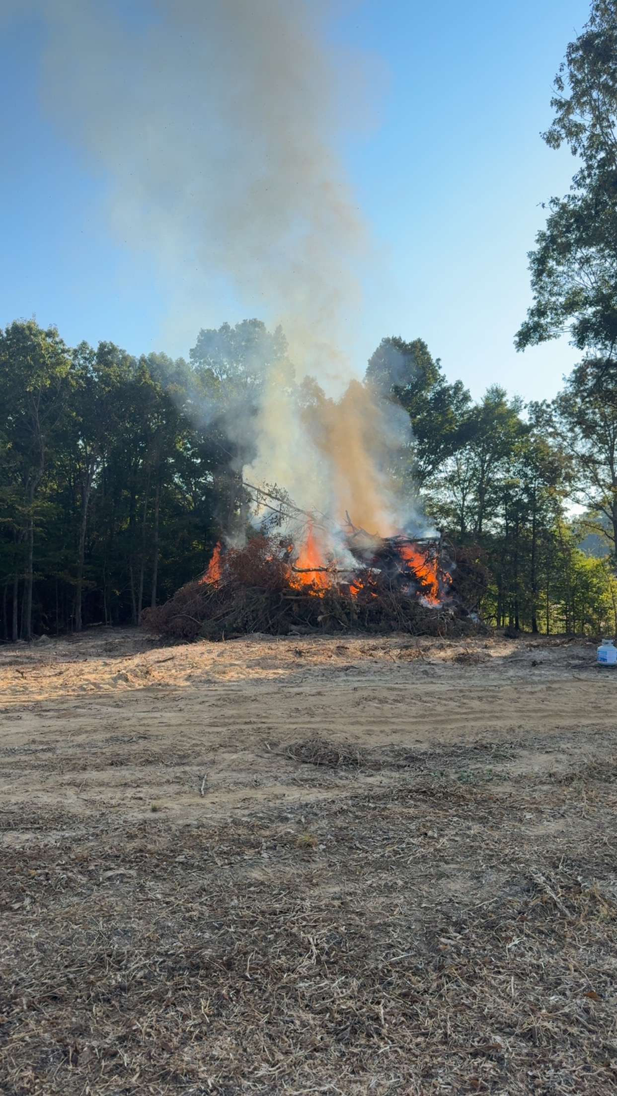  for West TN Dirt Works in Lexington, TN