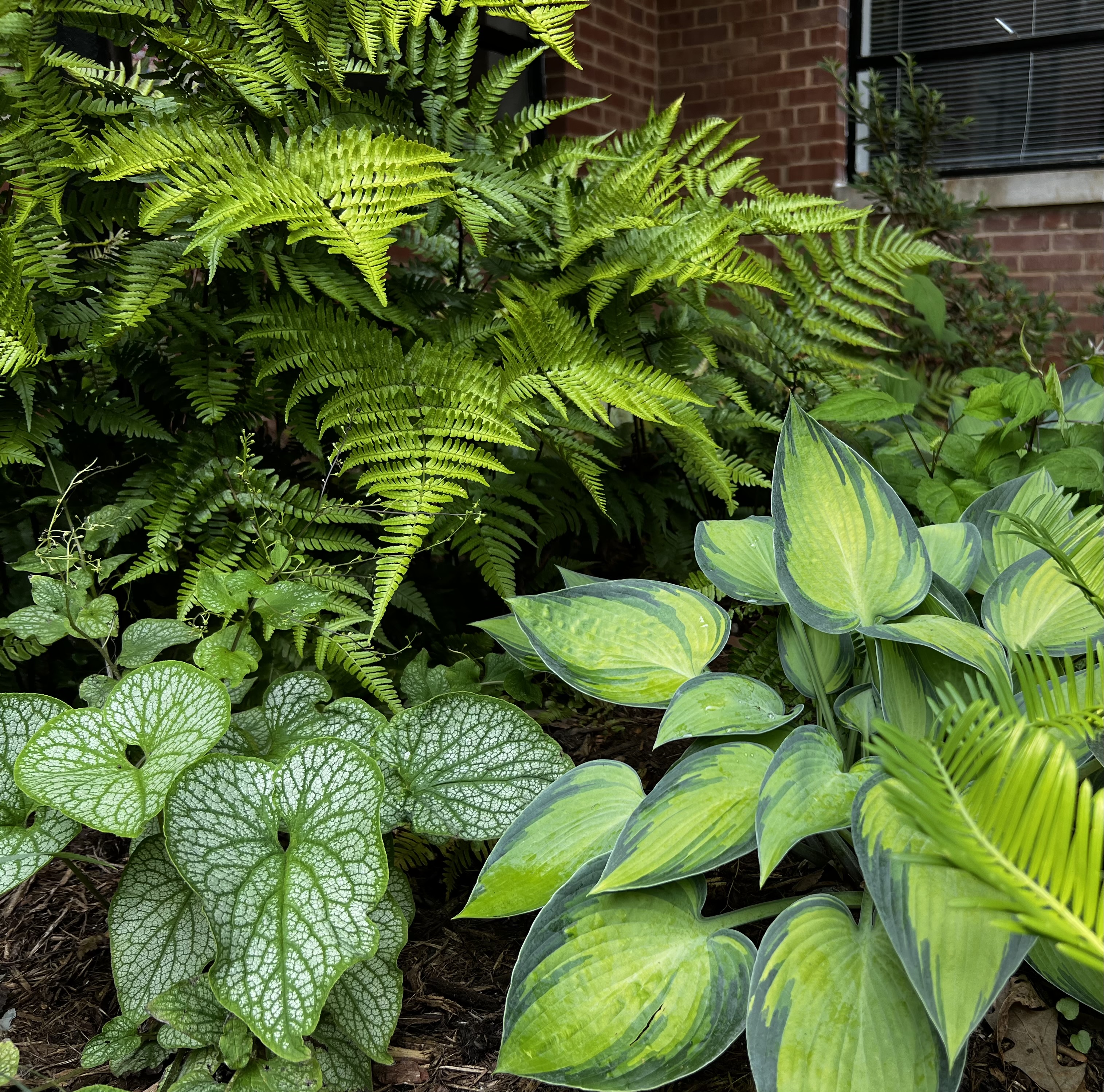 landscaping & hardscaping company Christina King Landscape Design in West Raleigh, NC