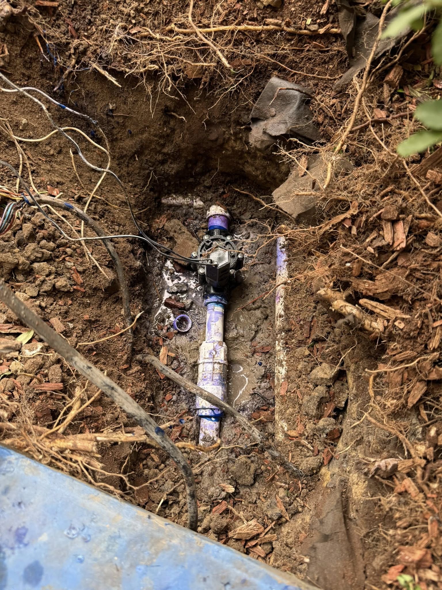  for Fortune Lawn Care in Terrell, TX