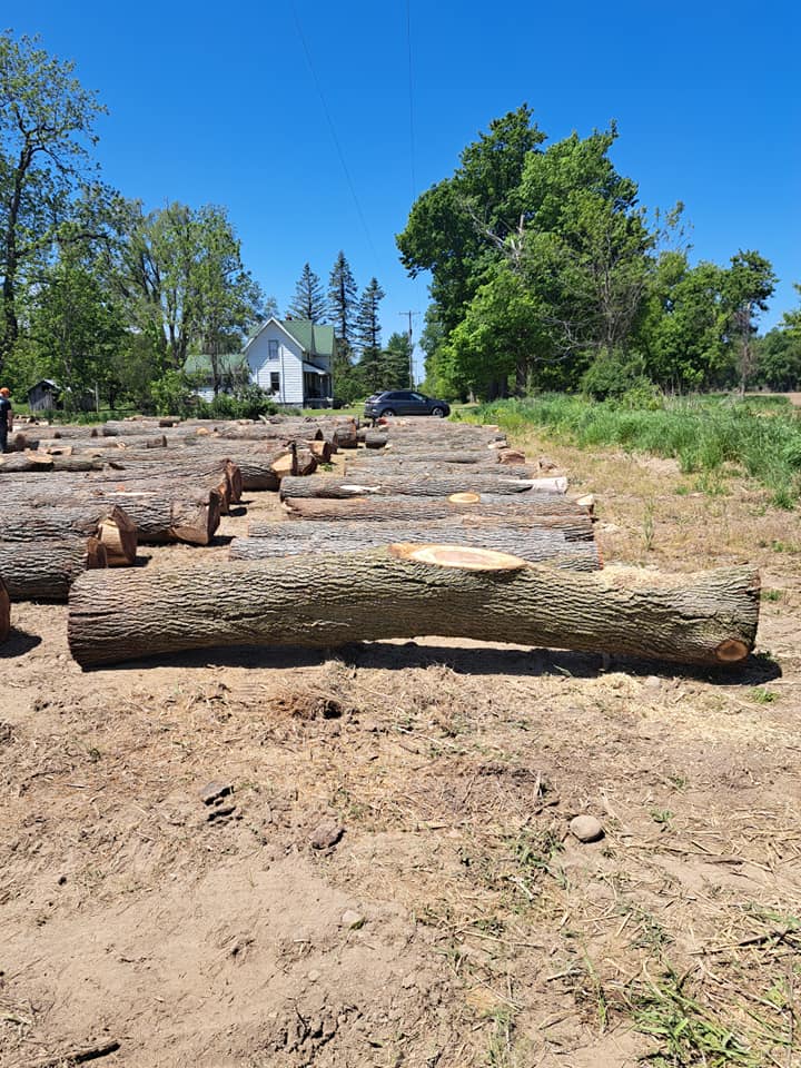  for God's Country Timber Management in Hillsdale, MI