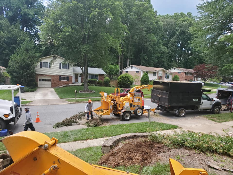 Tree Services company W D Giampa Lawns and Landscape Inc. in Manassas, VA