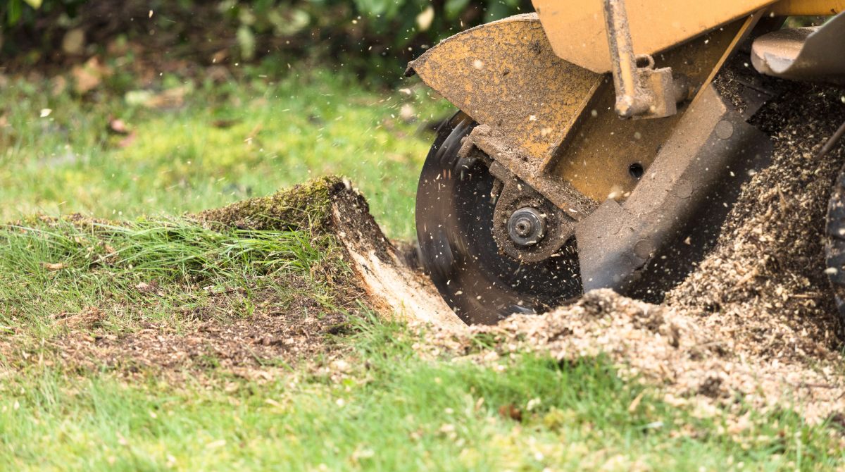 Greene Acres Stump Grinding team in Plant City, FL - people or person