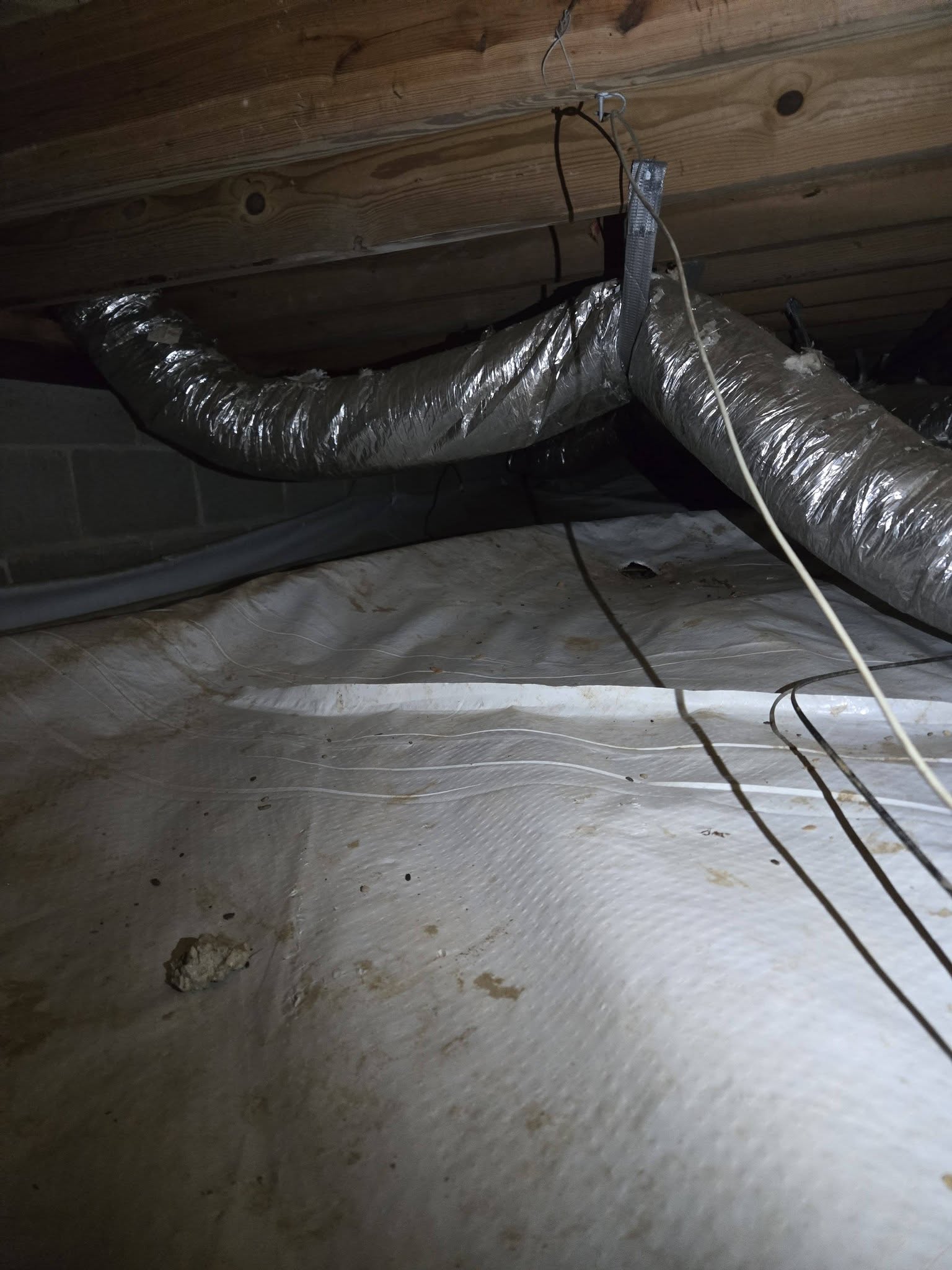  for Bug Blasterz LLC in Huntsville, AL