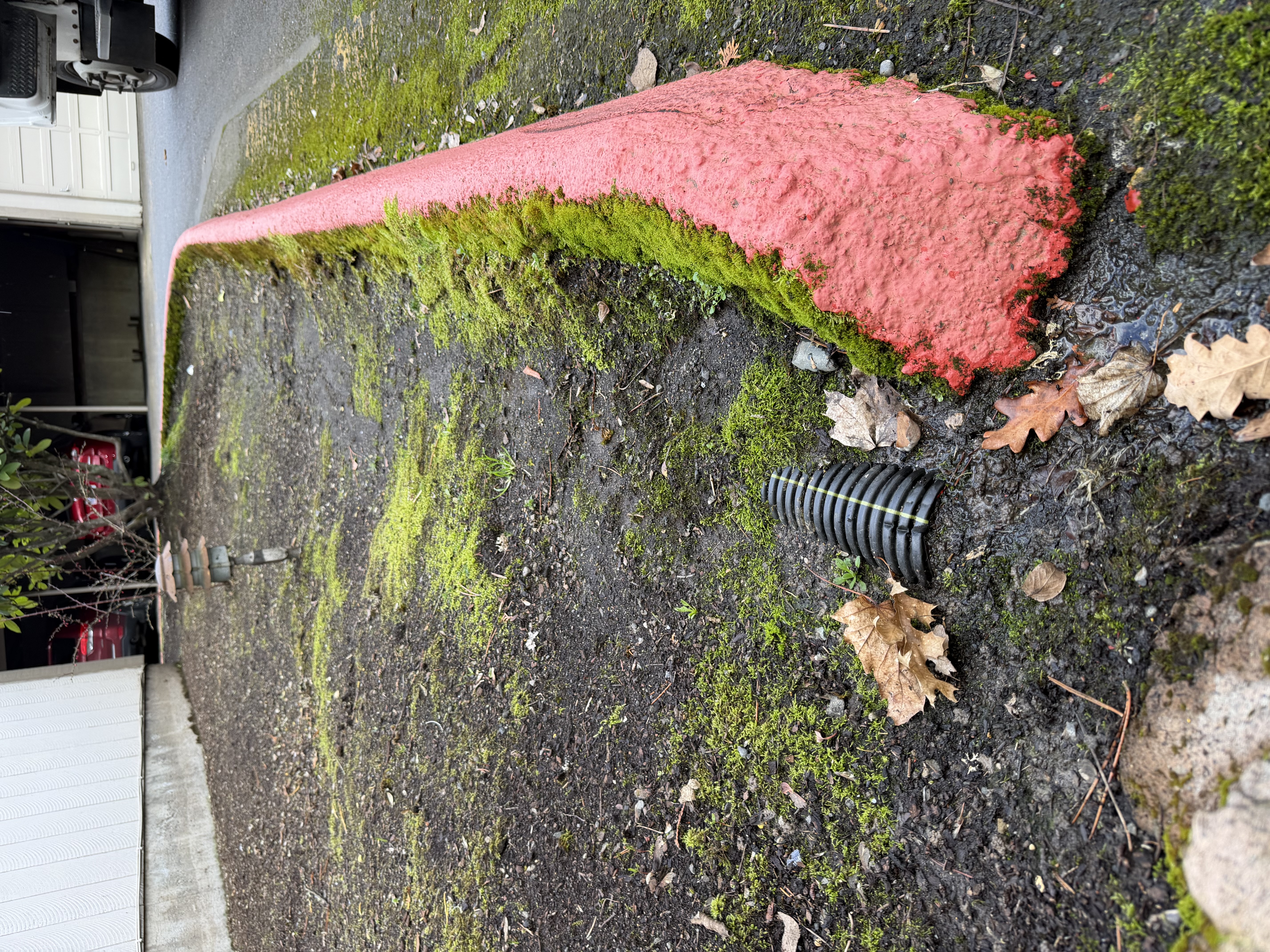  for Mountain View Services in Sandy, OR