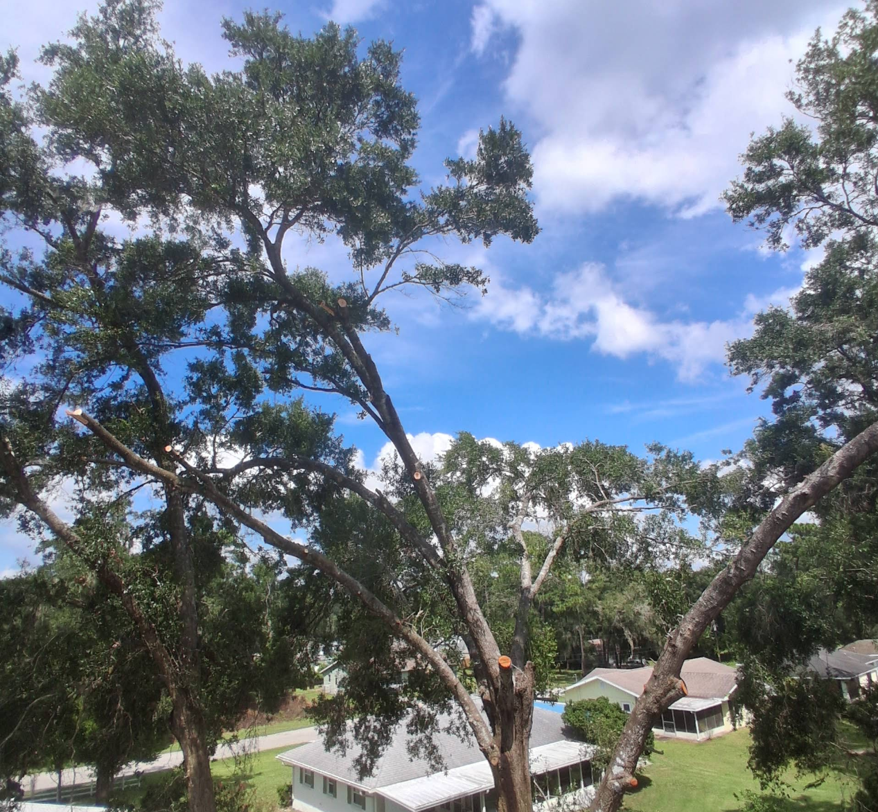  for Perfect Cut Lawn & Tree Care in Citrus County, FL