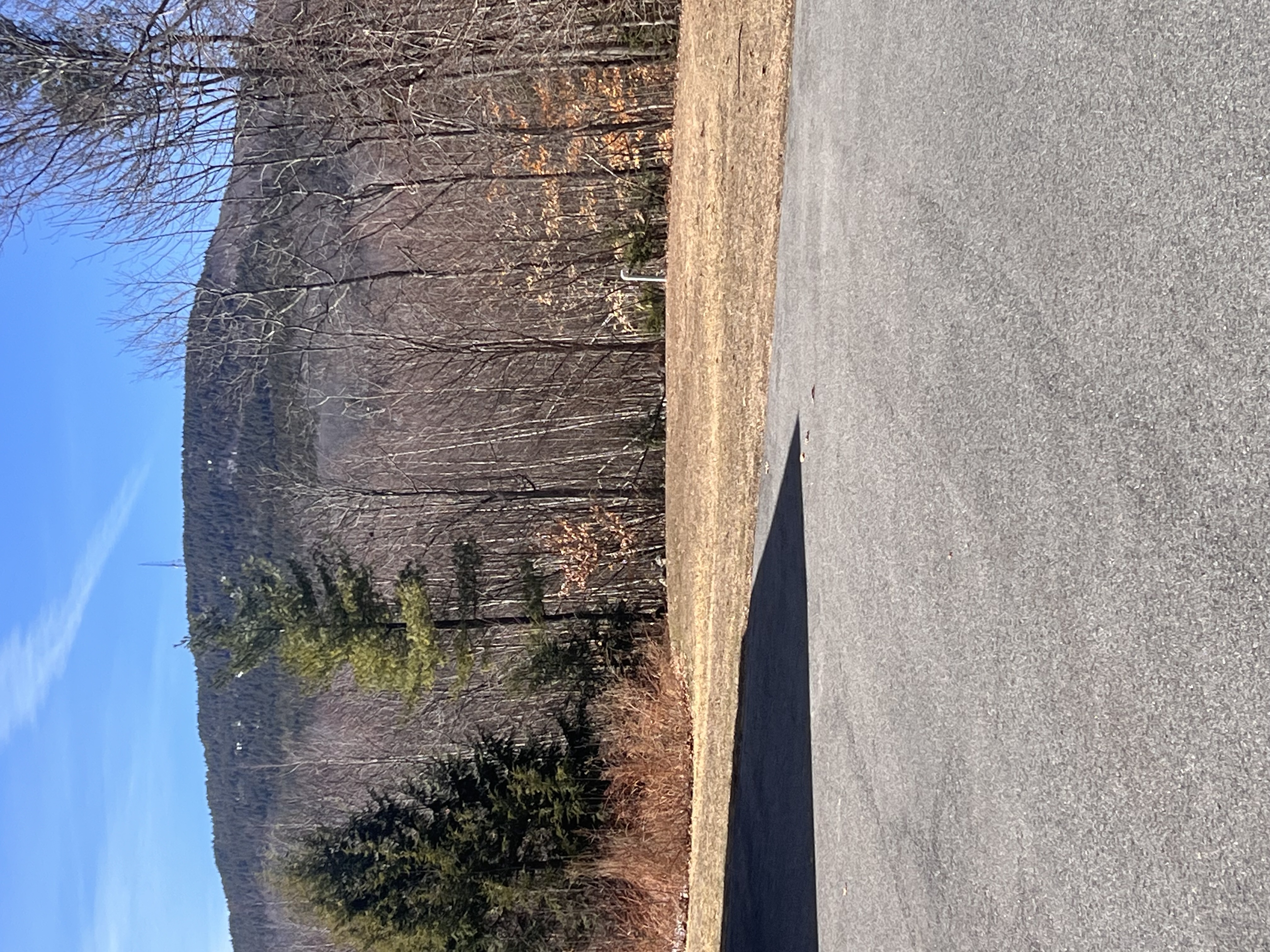  for Poop Pals NH in Gilford, NH