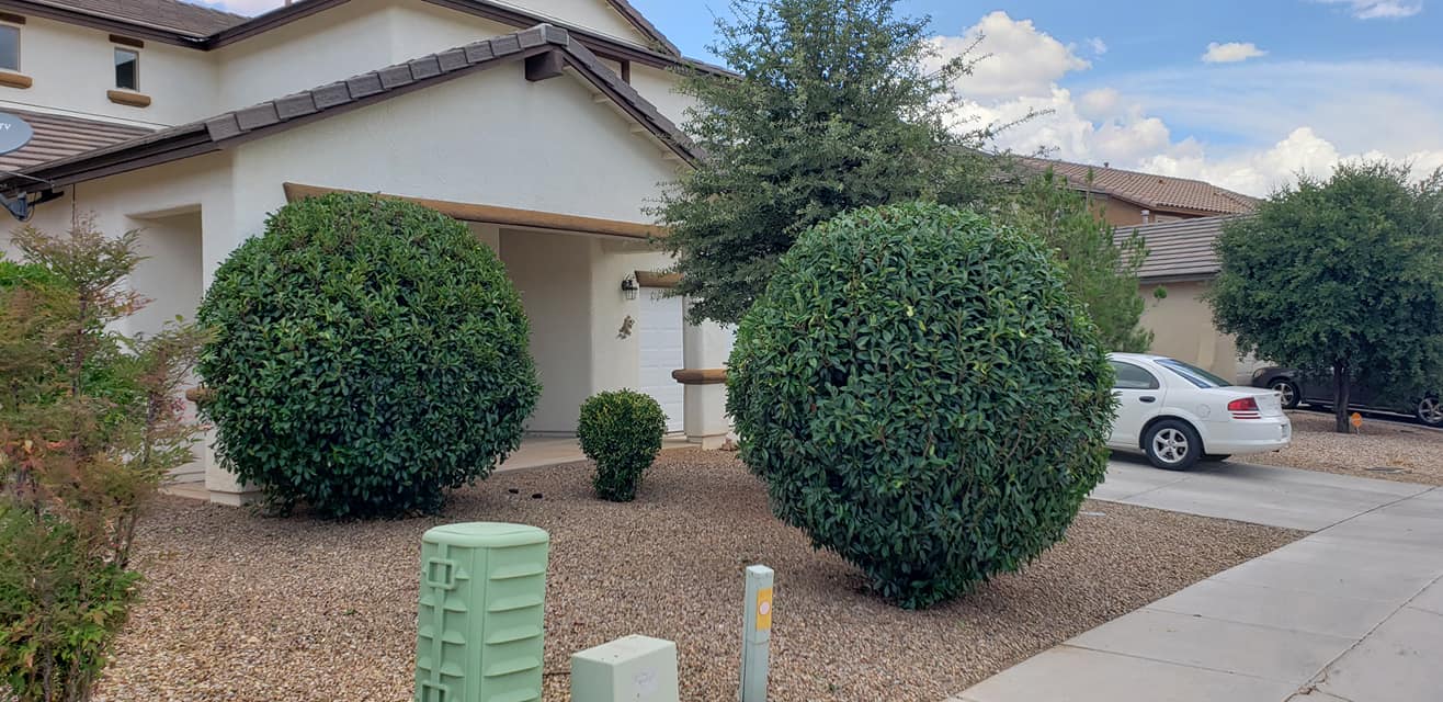Tree Services company A to Z Grounds Keeping in Sierra Vista, AZ