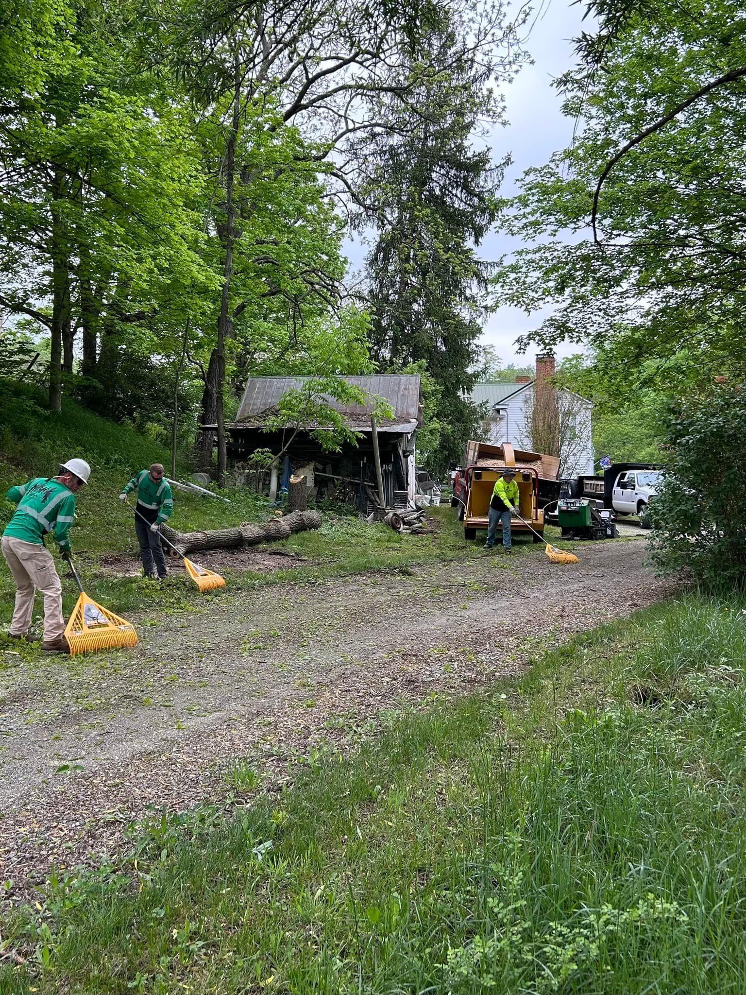 Three NRV Tree Pro crew members in branded uniforms raking cut debris clear of a gravel drive, with a loaded dump truck and wood chipper at the top of the drive