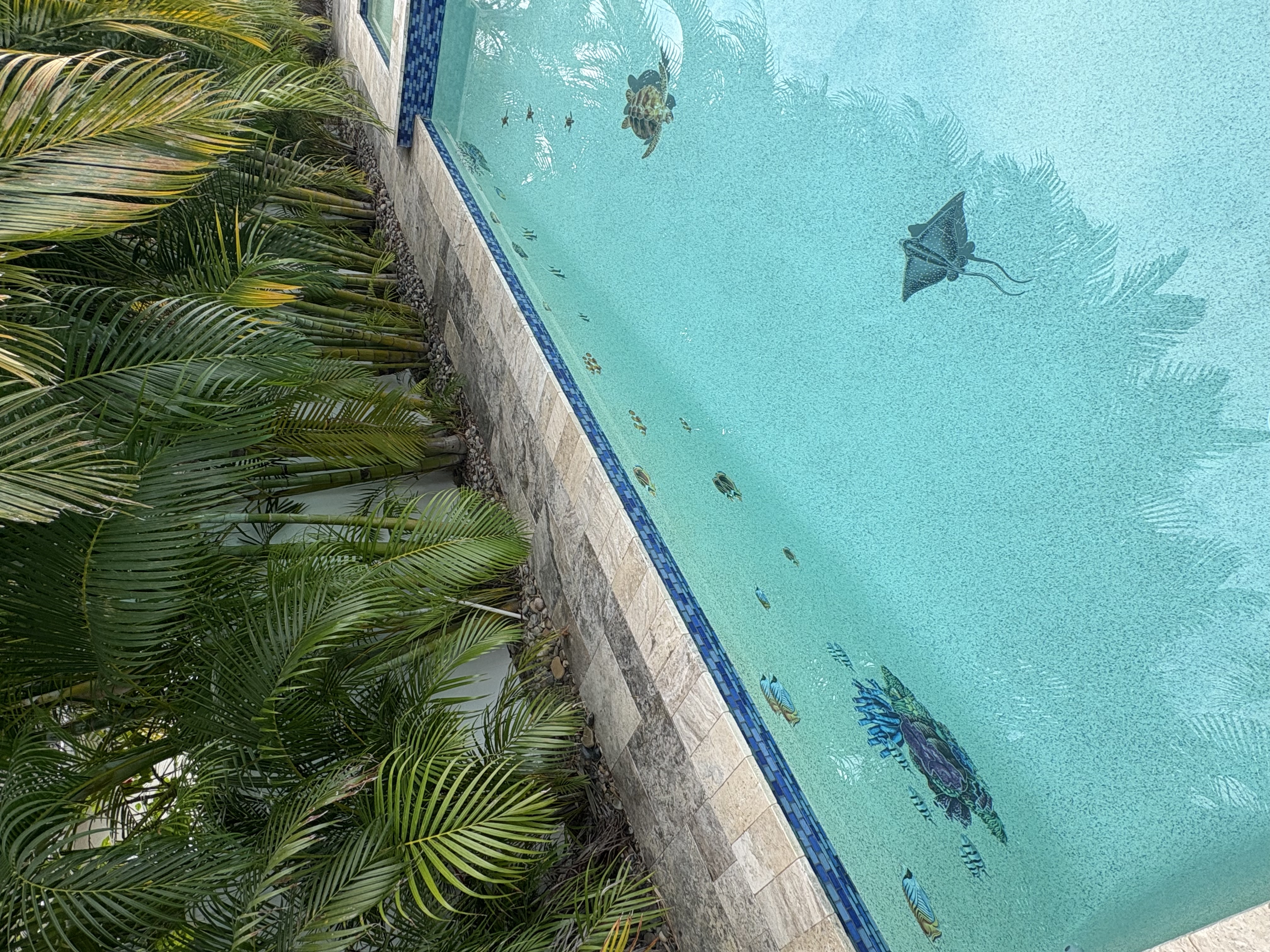  for Blue Bay Pools in Tampa, FL