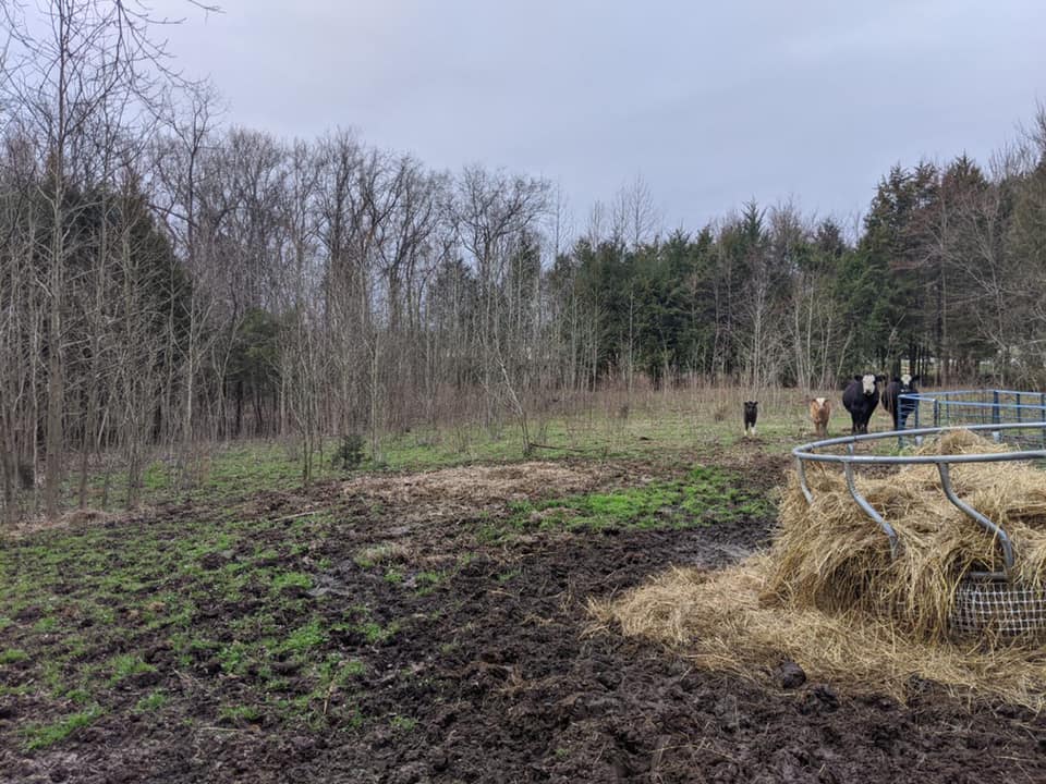  for Carolina Construction Services in Woodleaf, NC