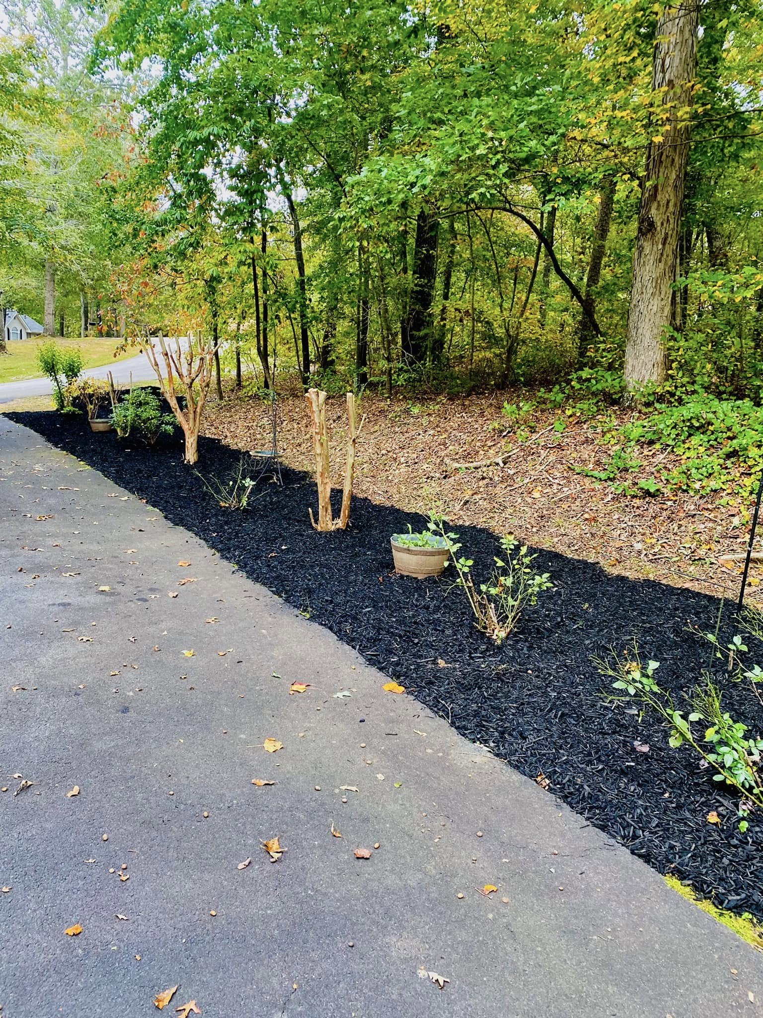  for Taylormade Lawn Management in Clarkesville, GA