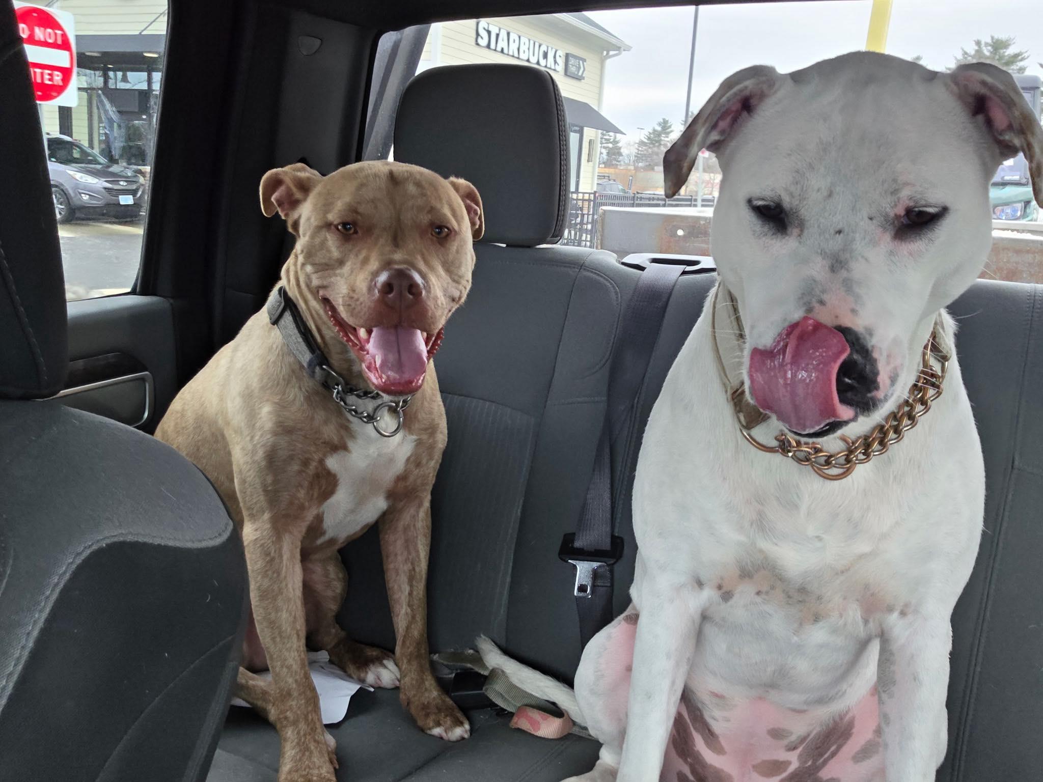  for Property Perfect LLC in Goffstown, NH