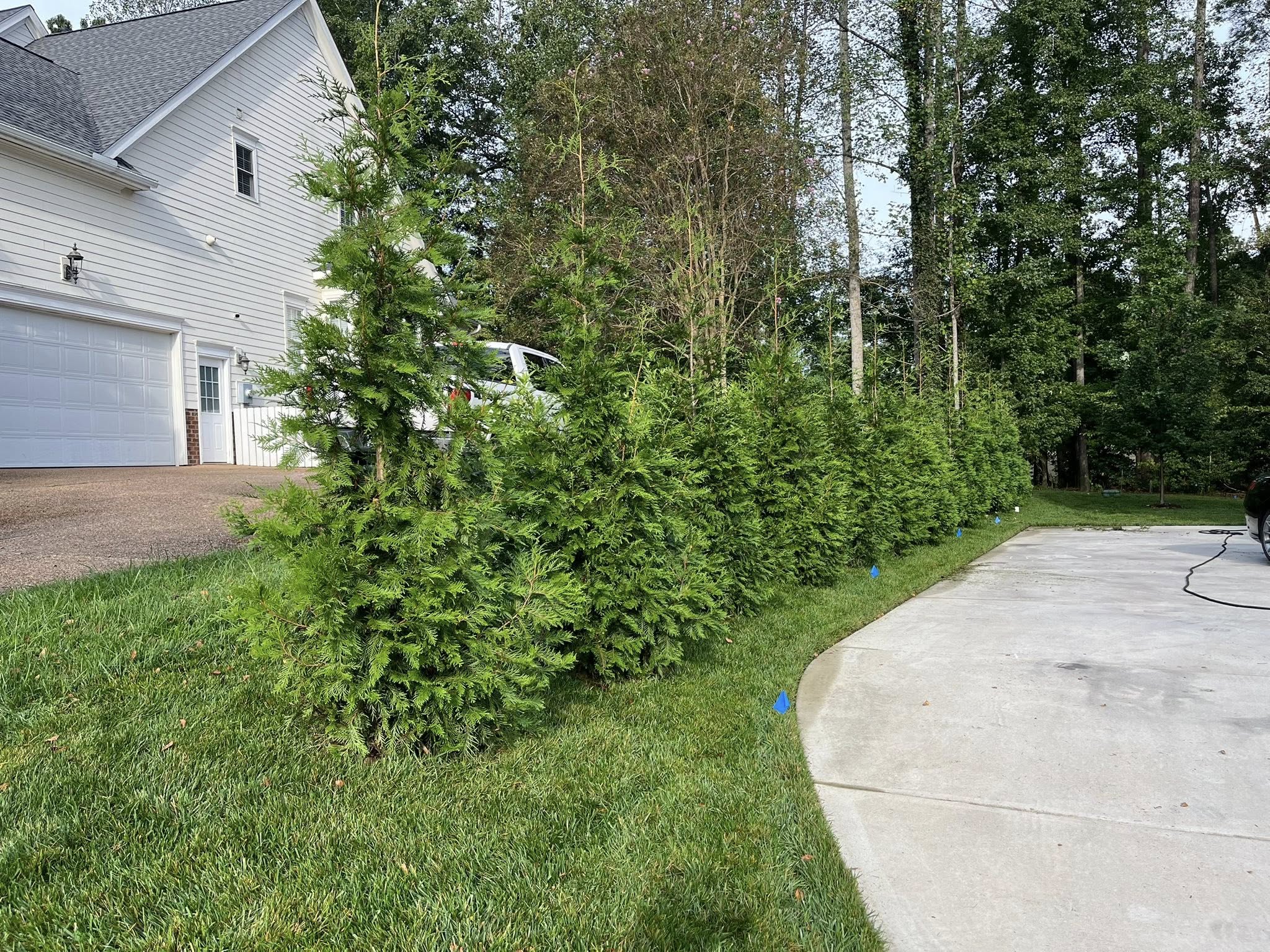  for Atlas Home Services in Mechanicsville, Virginia