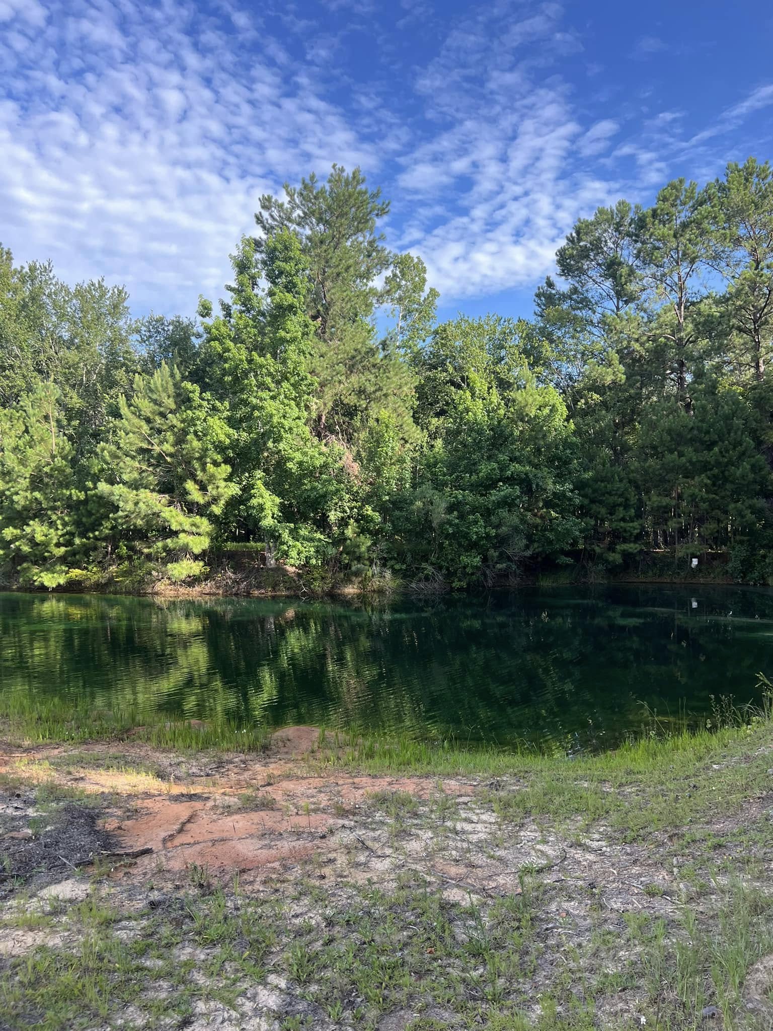  for Bay Hill Development LLC in Savannah, Georgia