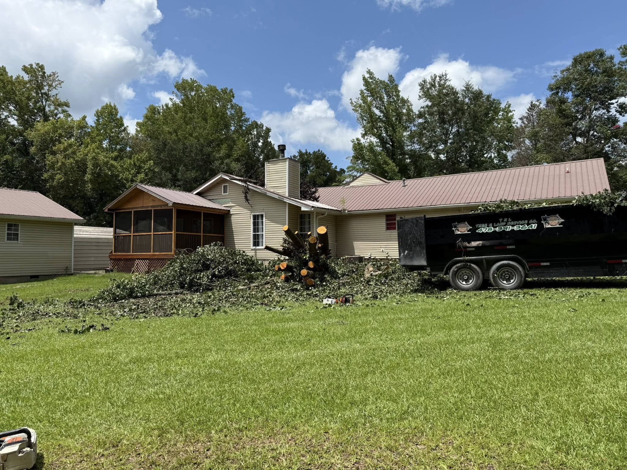  for T N L - Tree and Land Service in Reynolds, GA