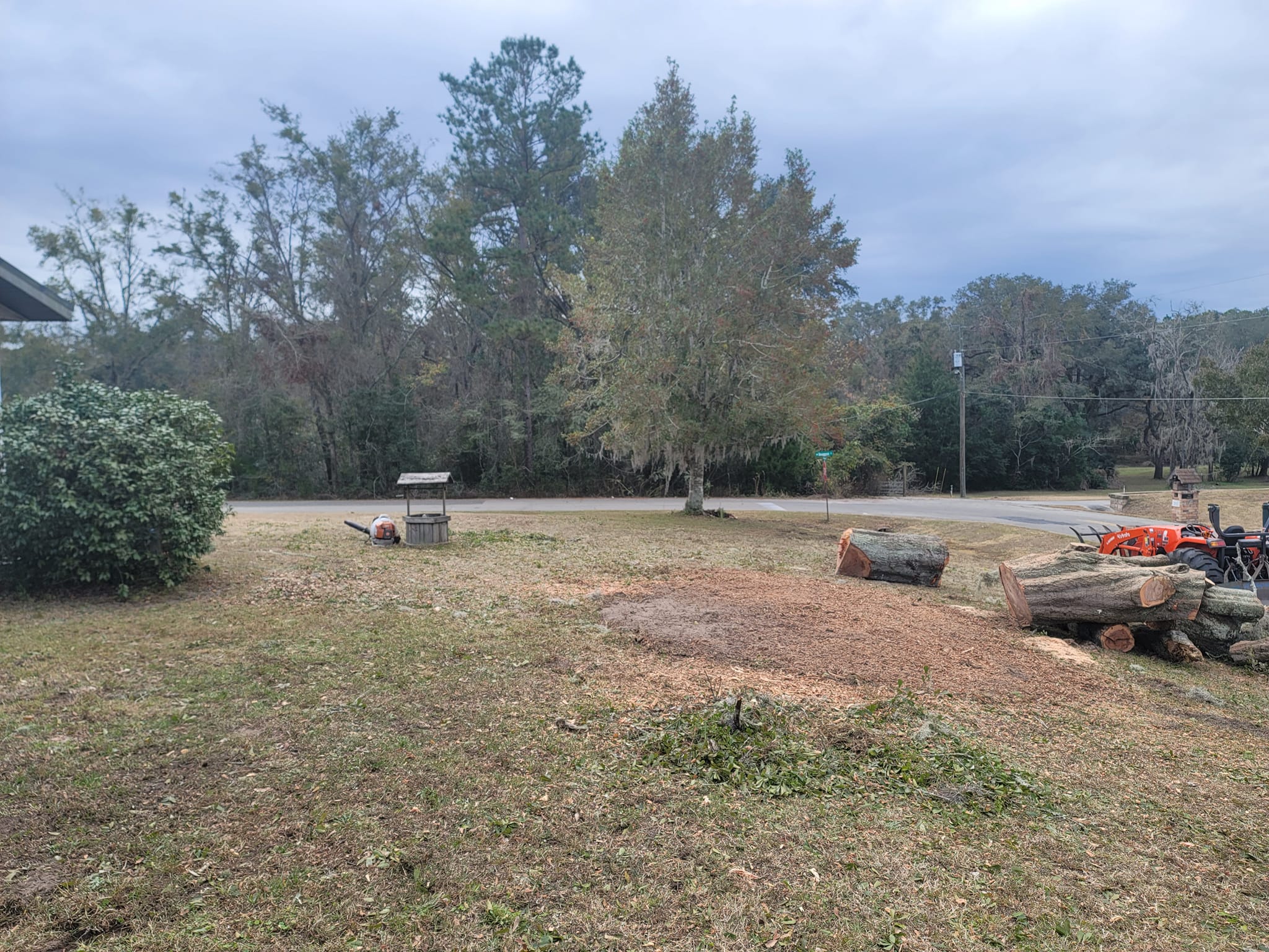  for Warners Tree Solutions in Live Oak, FL