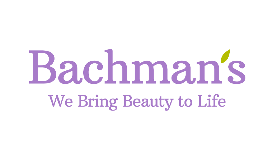 Bachmman's