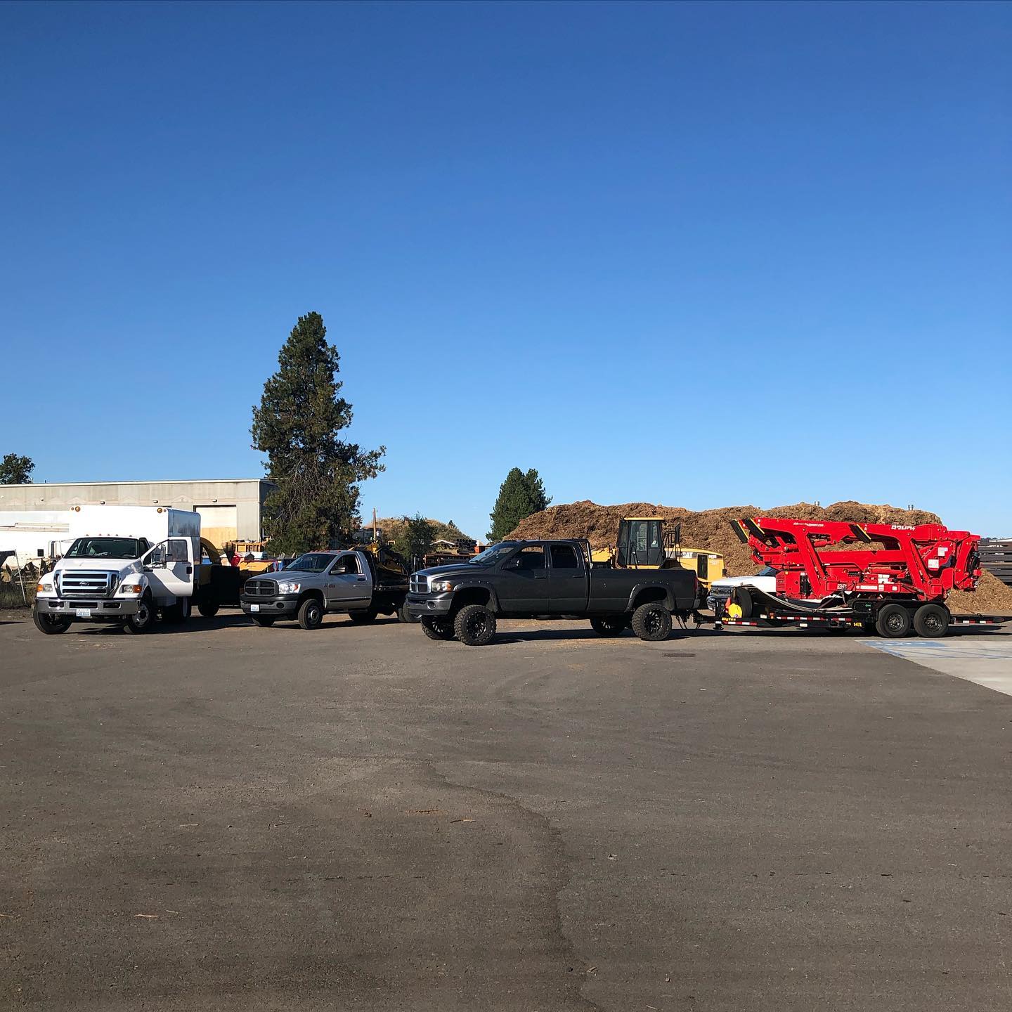  for AP Tree Service in Colbert, WA