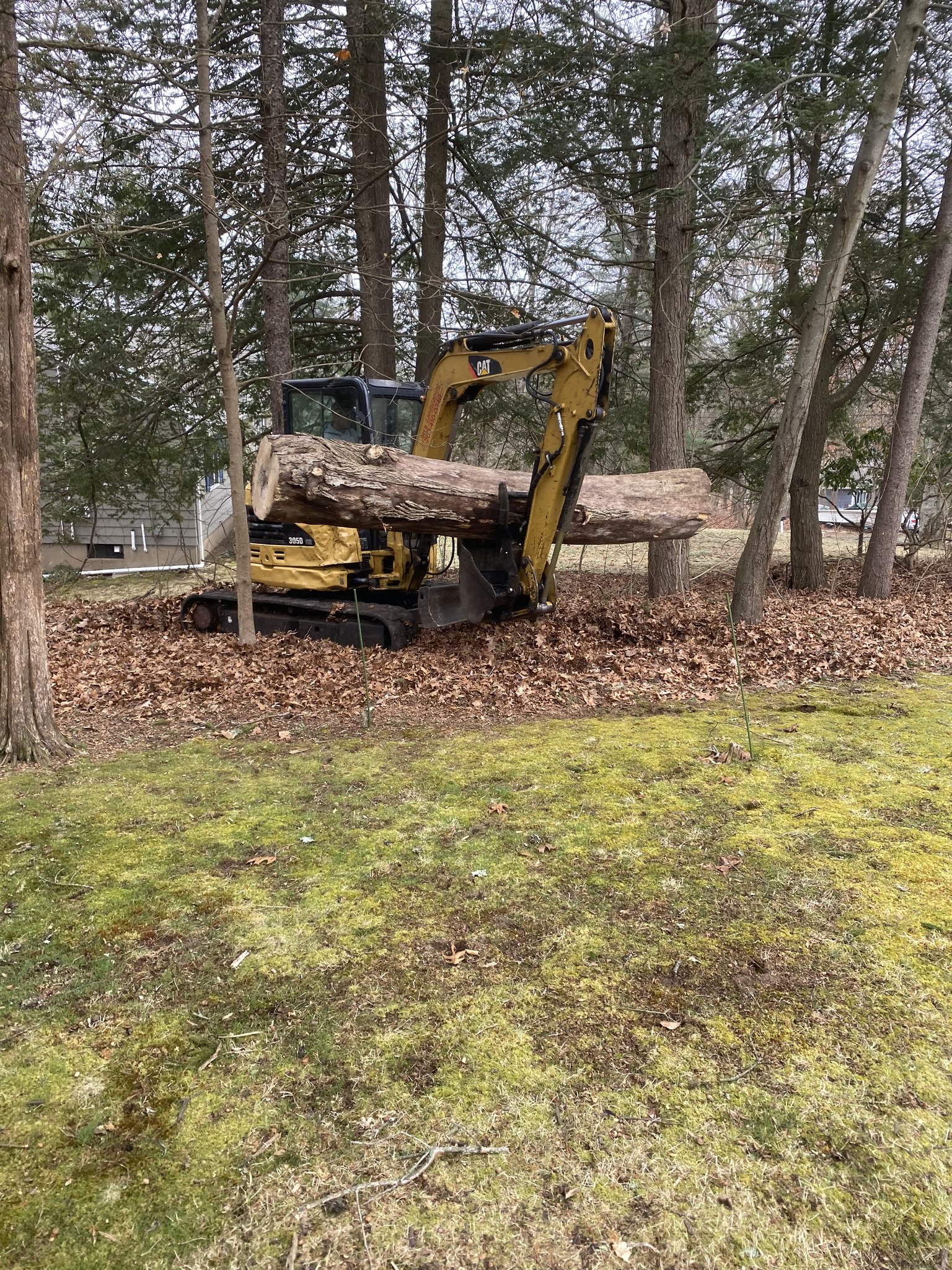  for Davis Services LLC in Bethany, CT