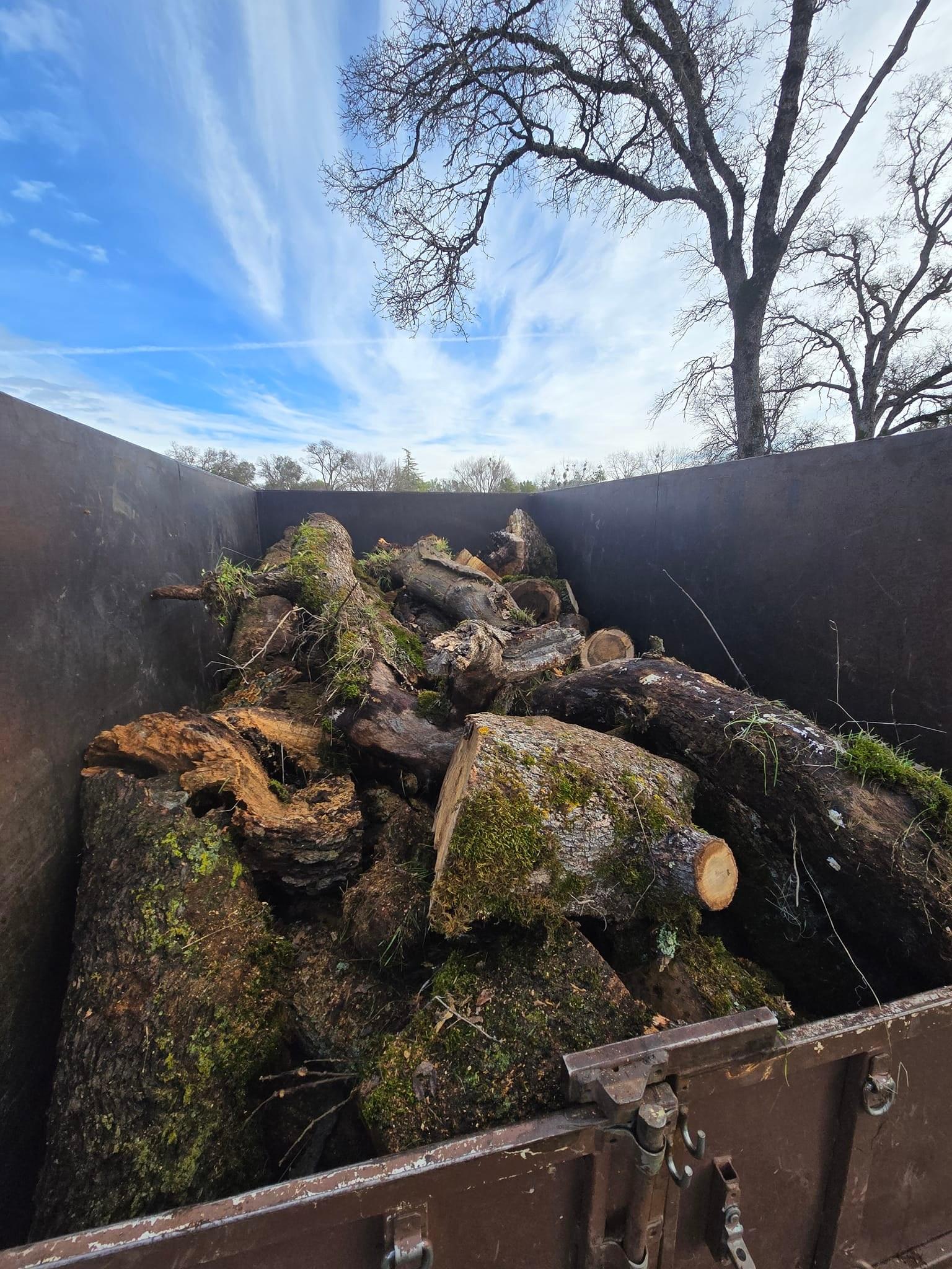 Dump trailer loaded to the rails with bucked oak rounds hauled off a Grass Valley property