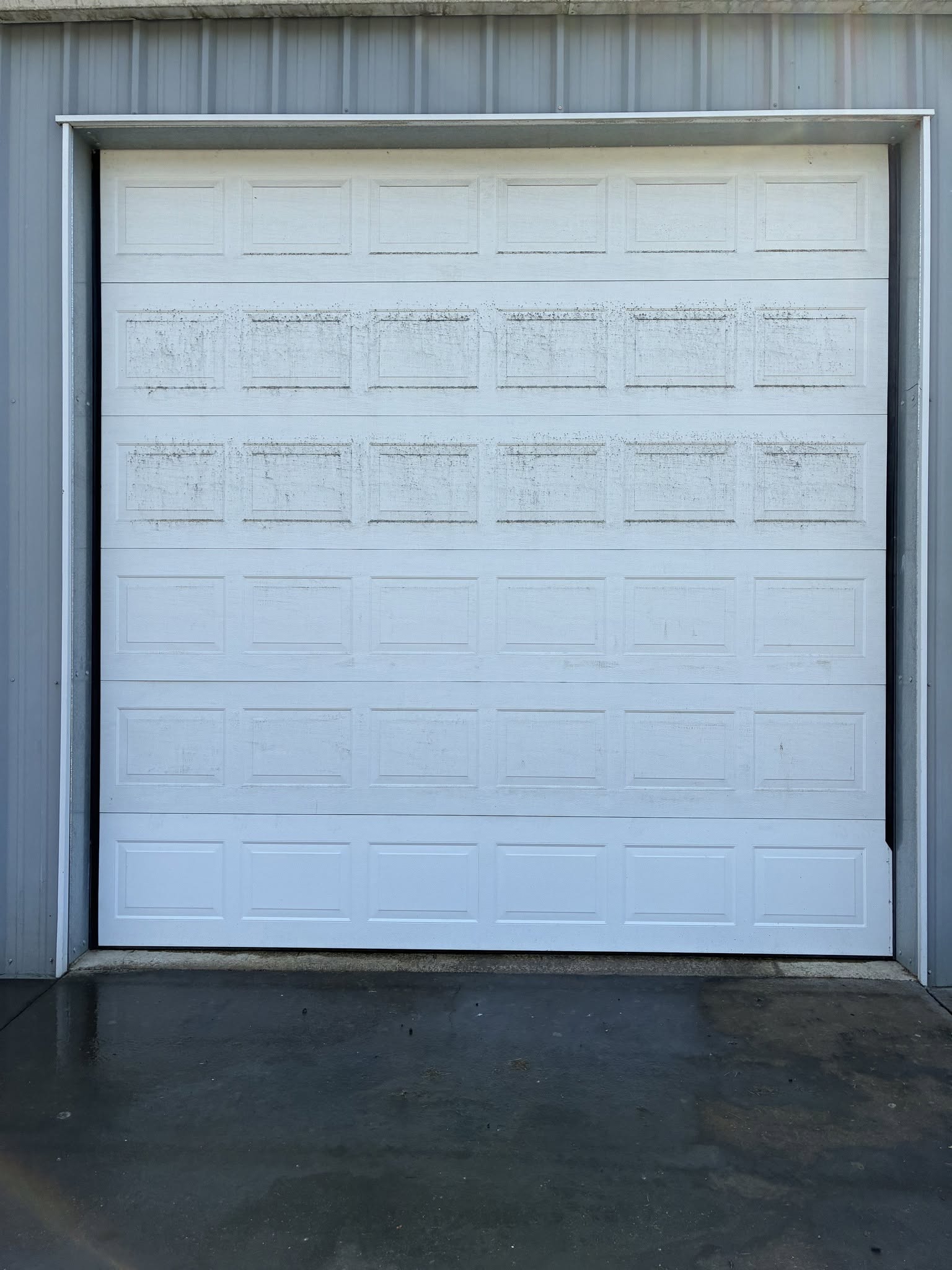 Garage door before cleaning