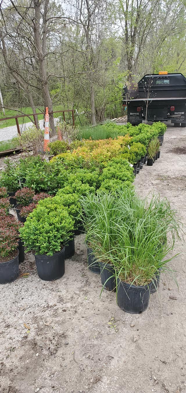  for Contemporary Landscape in St. Louis, MO