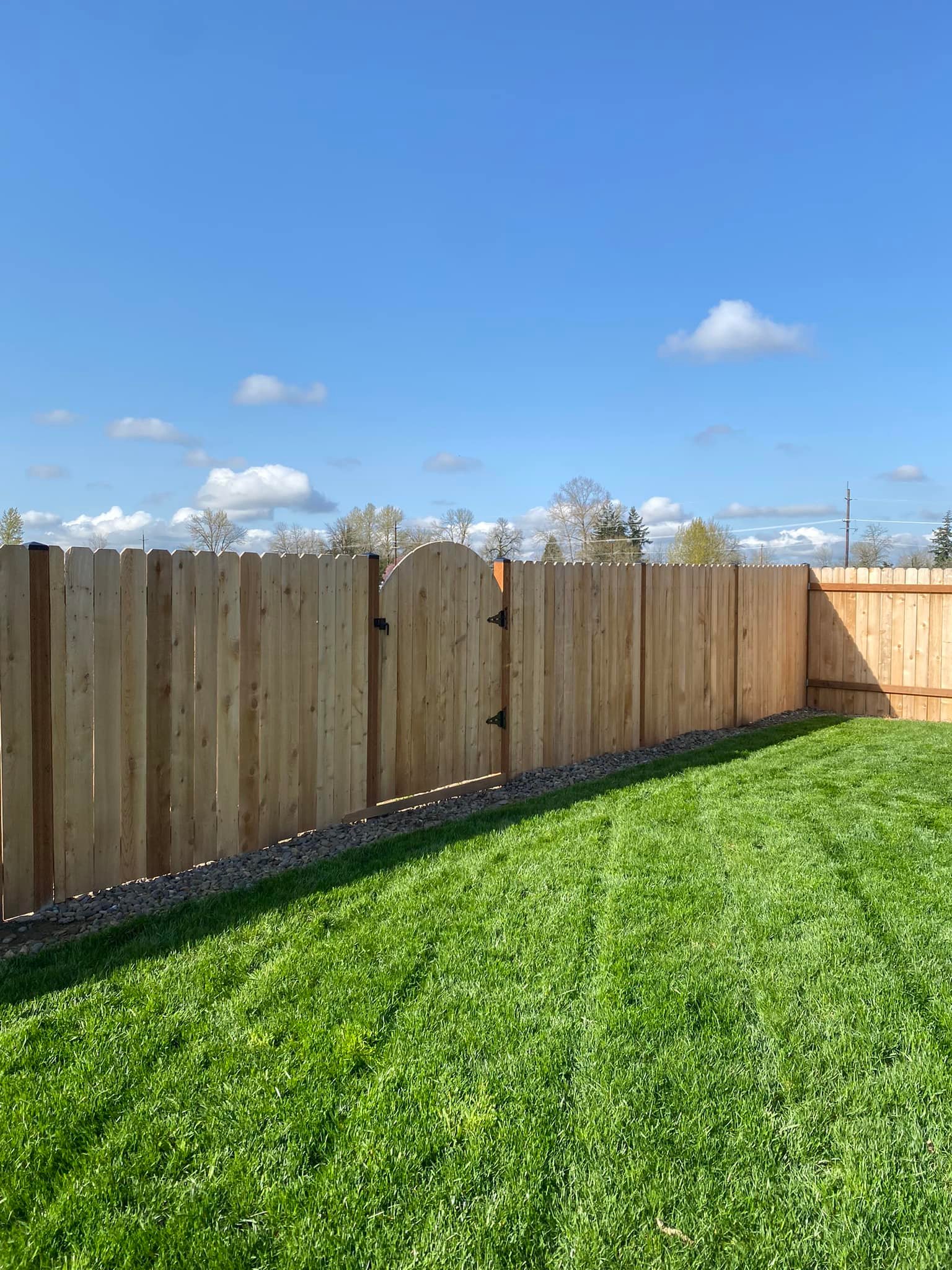  for Willamette Landscaping and Tree Services in Albany, OR