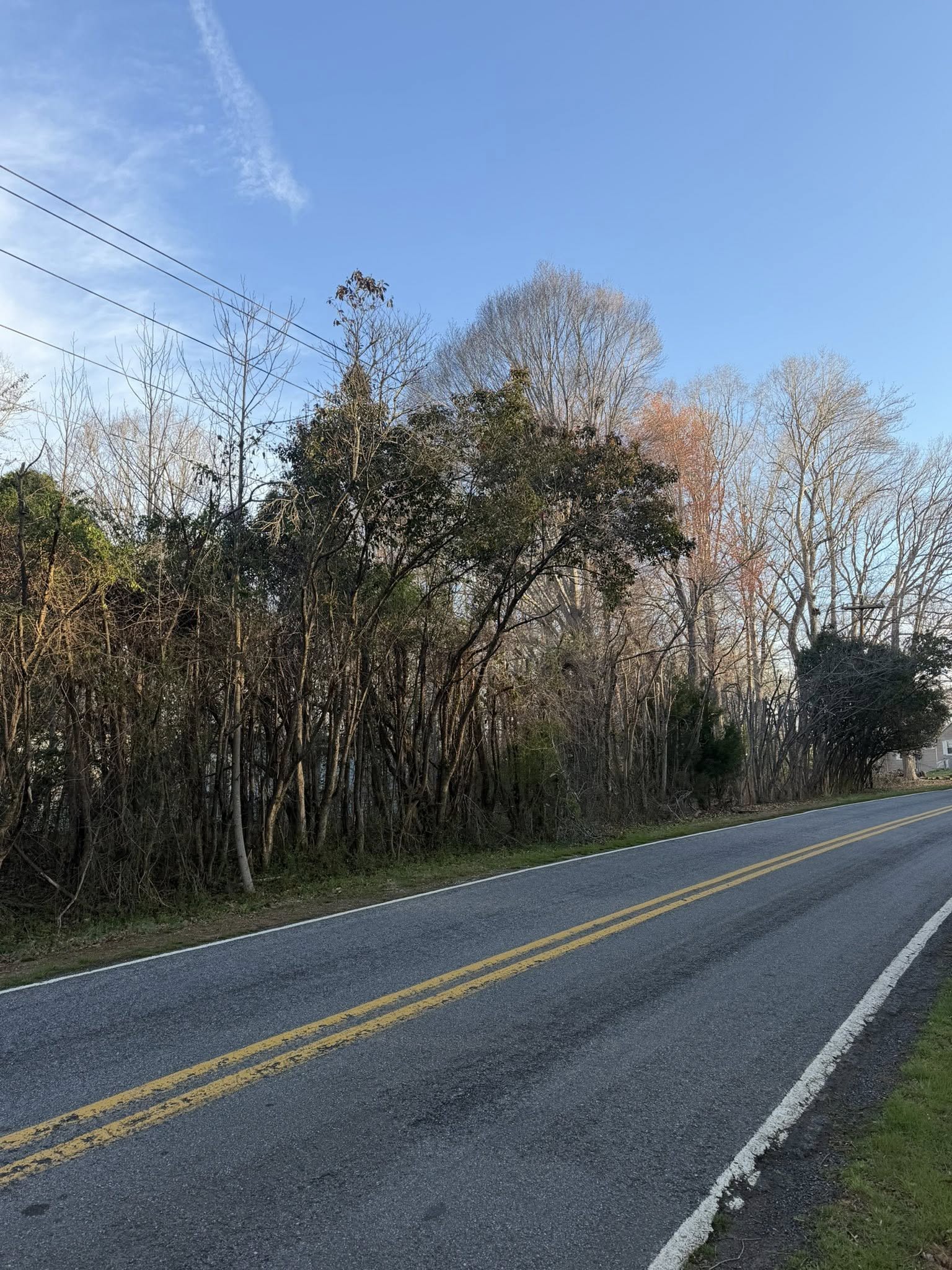  for Ramirez Tree Care in Elkin, NC