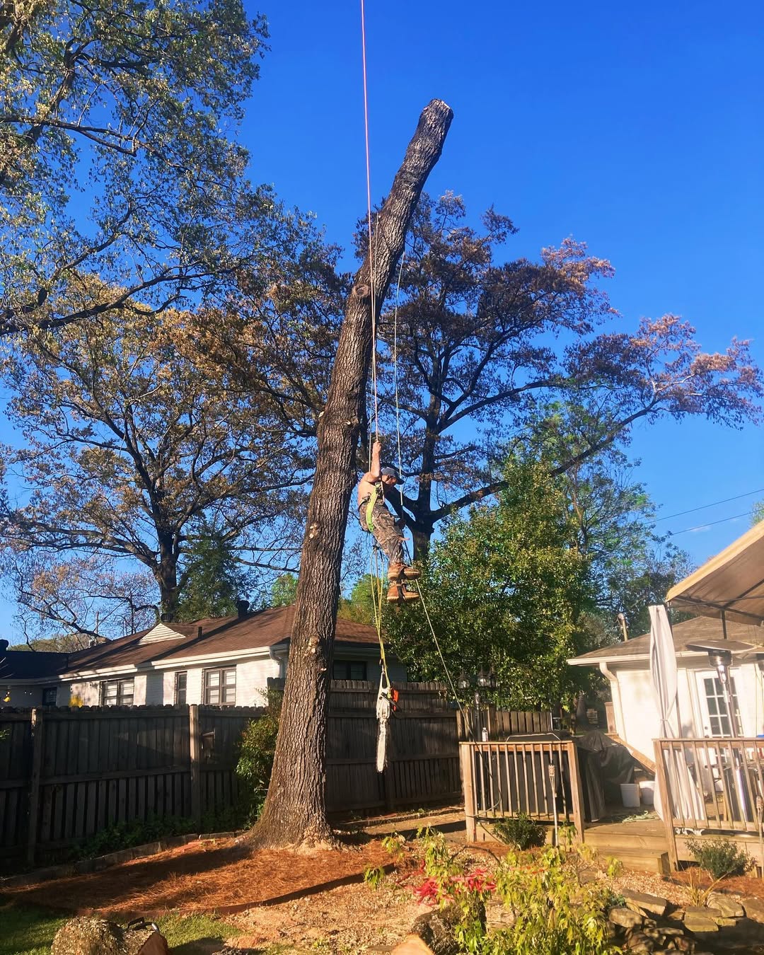 tree services company Kingdom Tree Cuts in Birmingham, AL