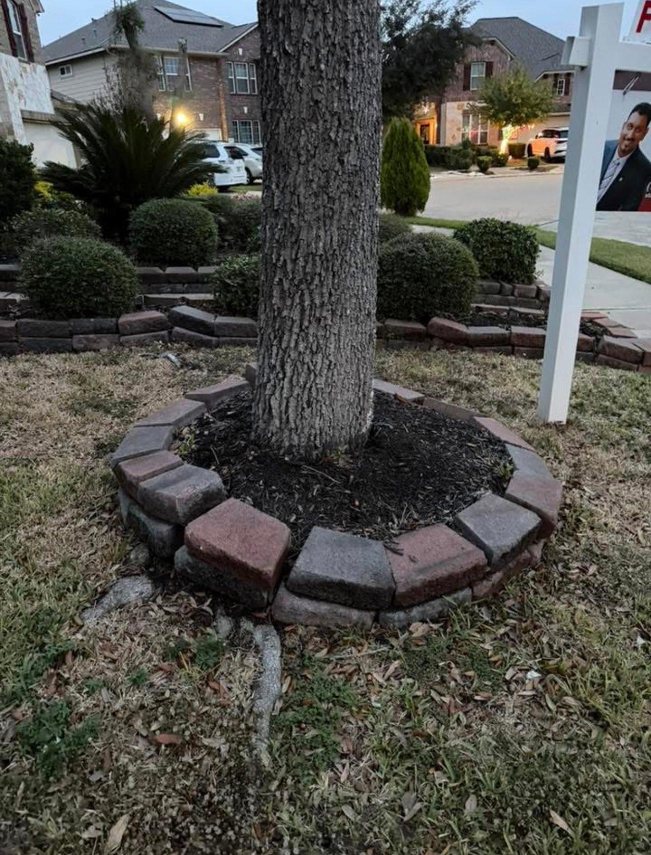  for Texas Curb N Borders in Houston, TX