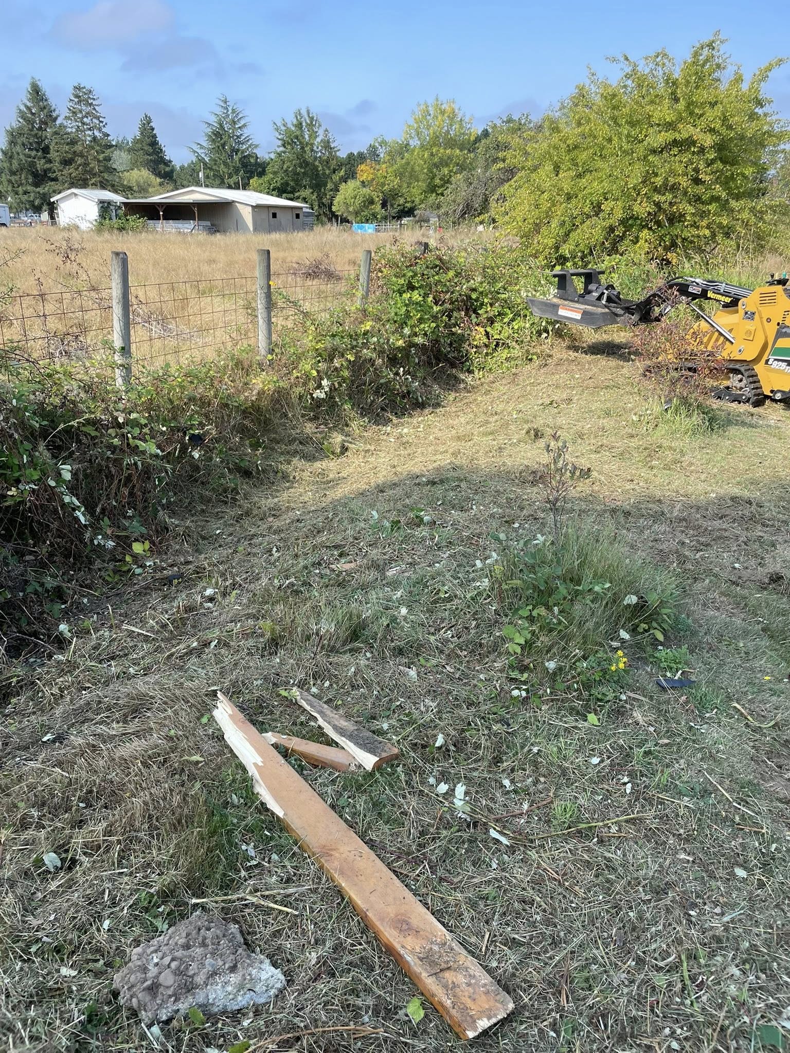  for Wilderness Stump Grinding in Orting, WA